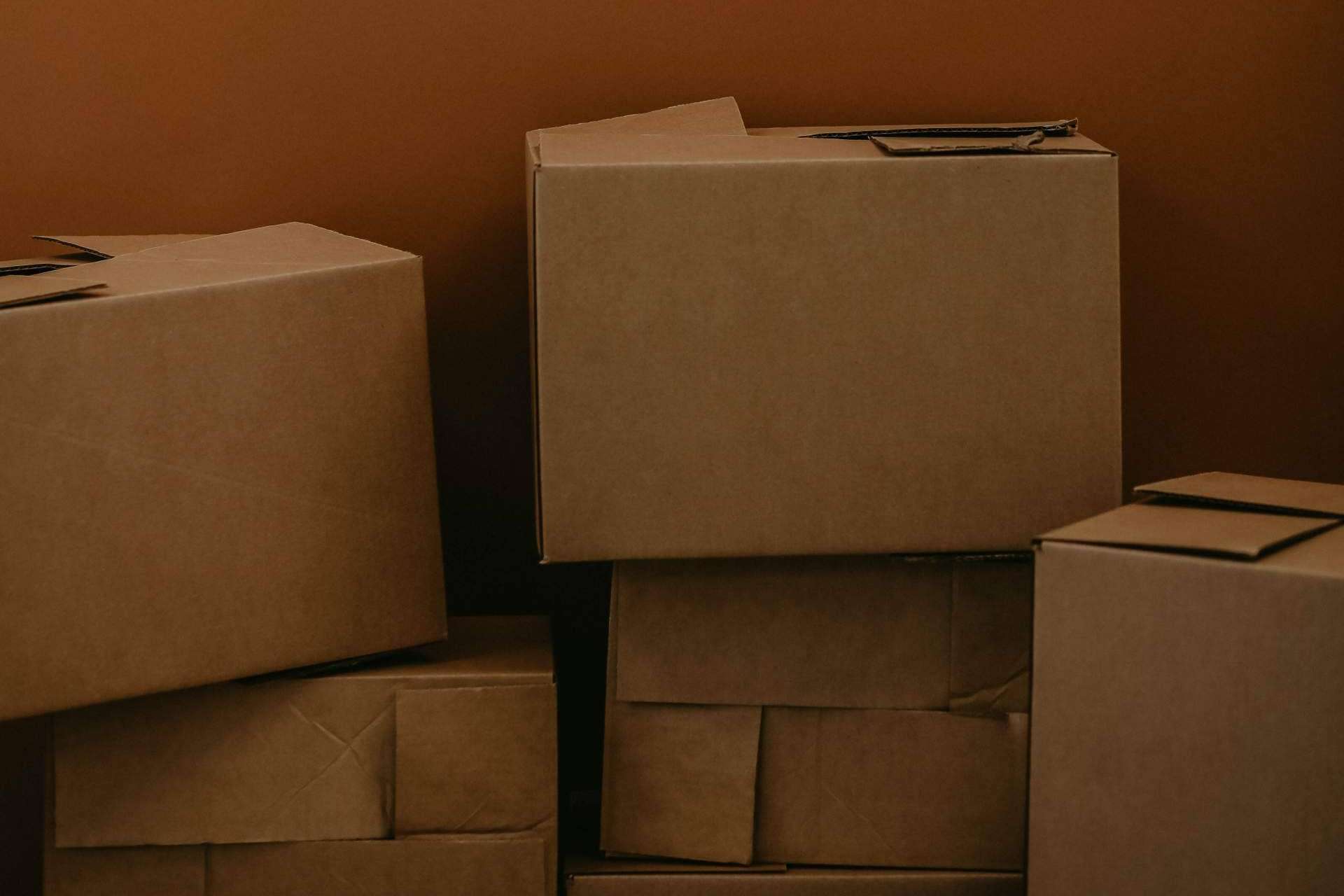 Embex, soluciones de embalaje con cajas de cartón versátiles y resistentes