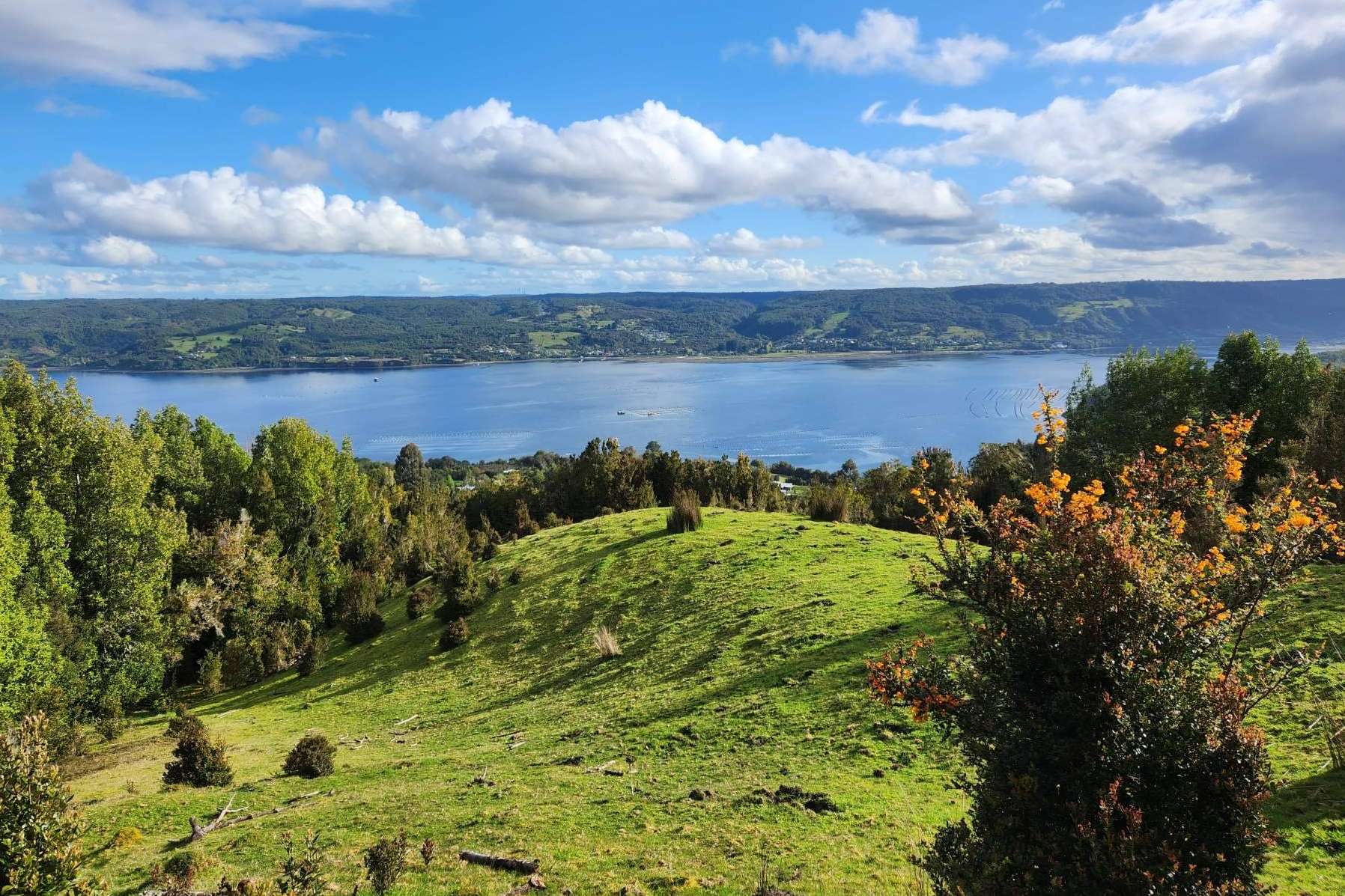 Latitudes Australes proporciona lugares ideales en Chiloé para invertir en una parcela