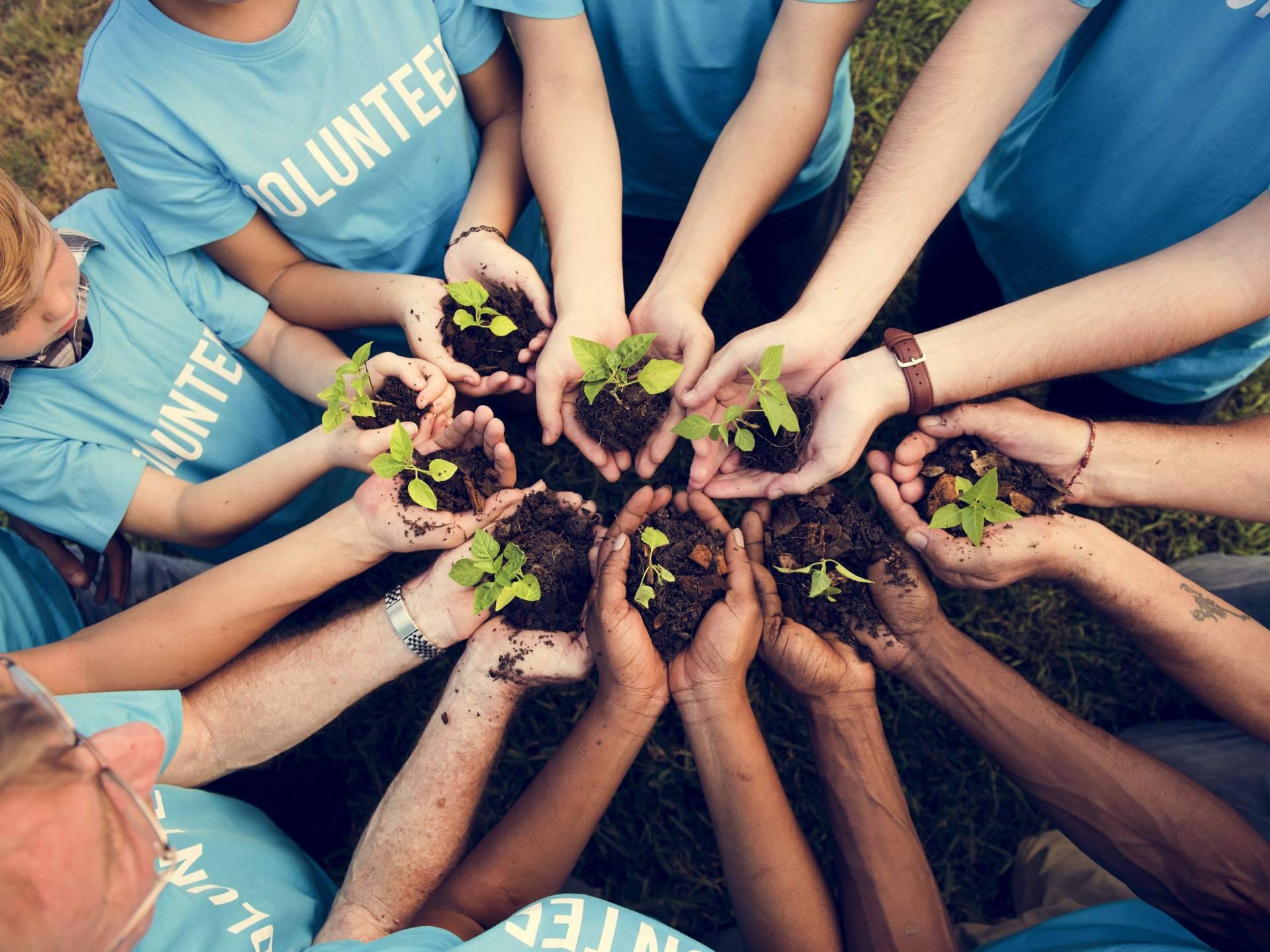 Volungo, una red social solidaria nacida en España