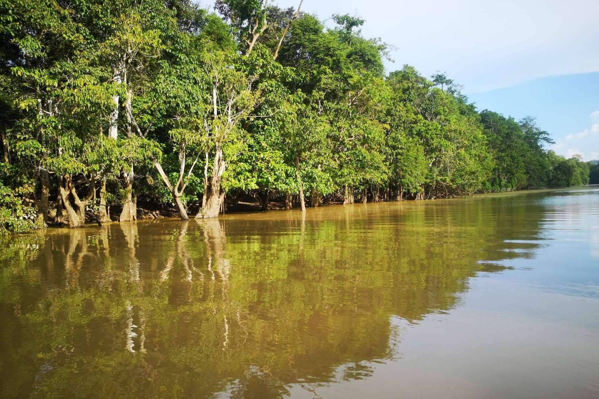 Descubriendo el encanto de Sabah, Borneo en otoño; ventajas de una escapada en esta temporada
