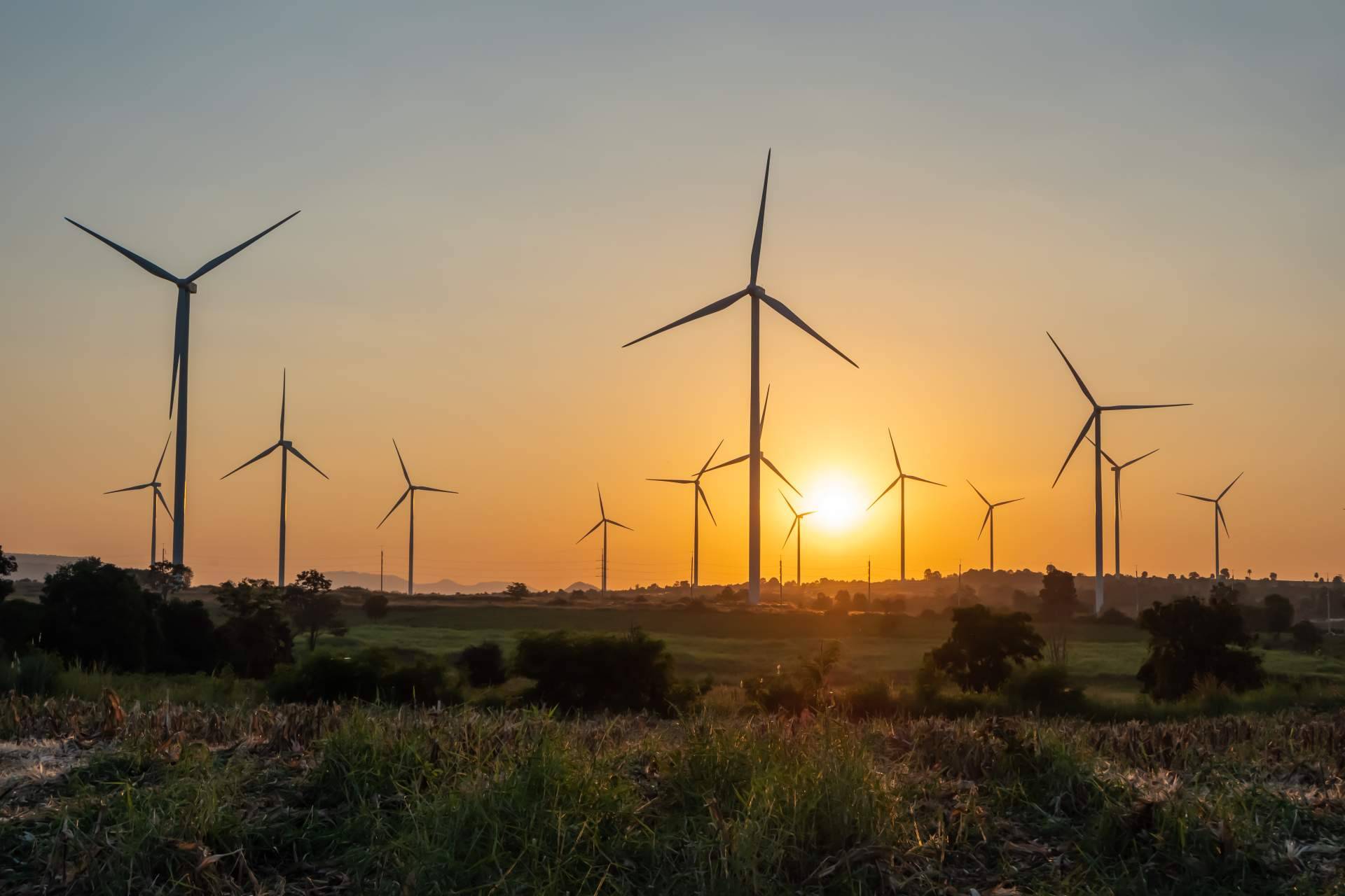 ¿Cuáles son los diferentes tipos de energías renovables?, por PVAI