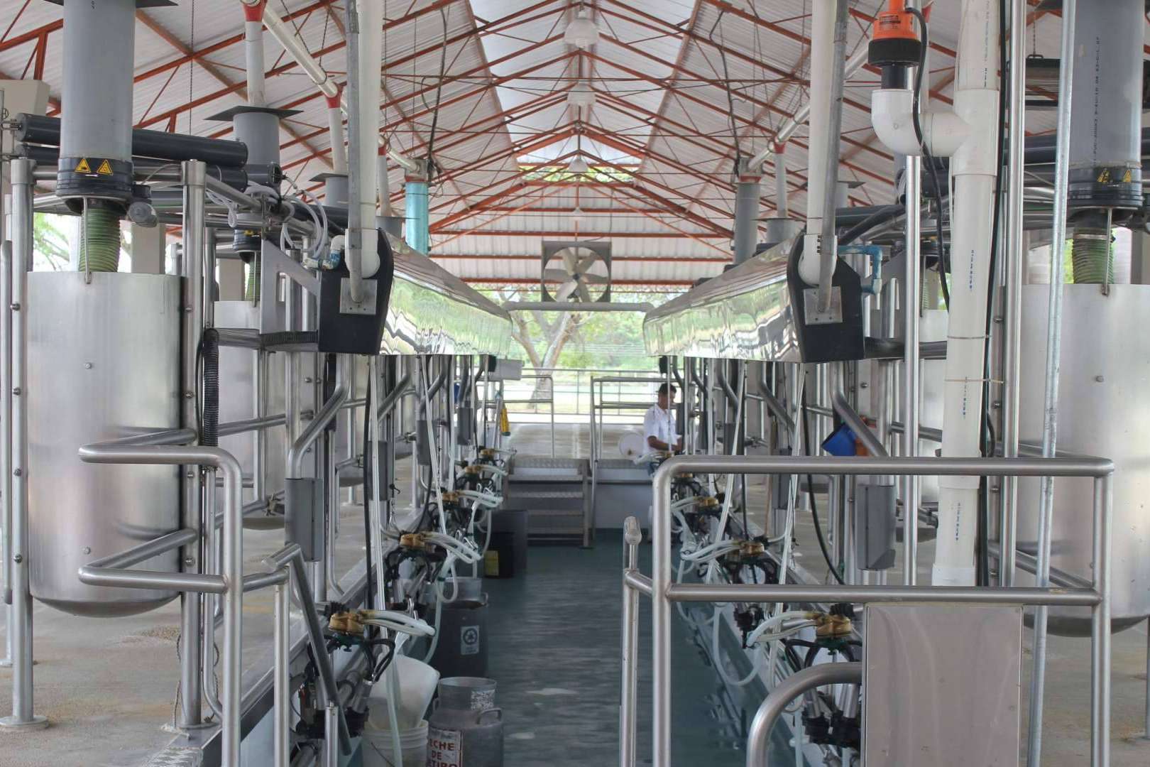 Software ERP para Queserías de ALBA IBS