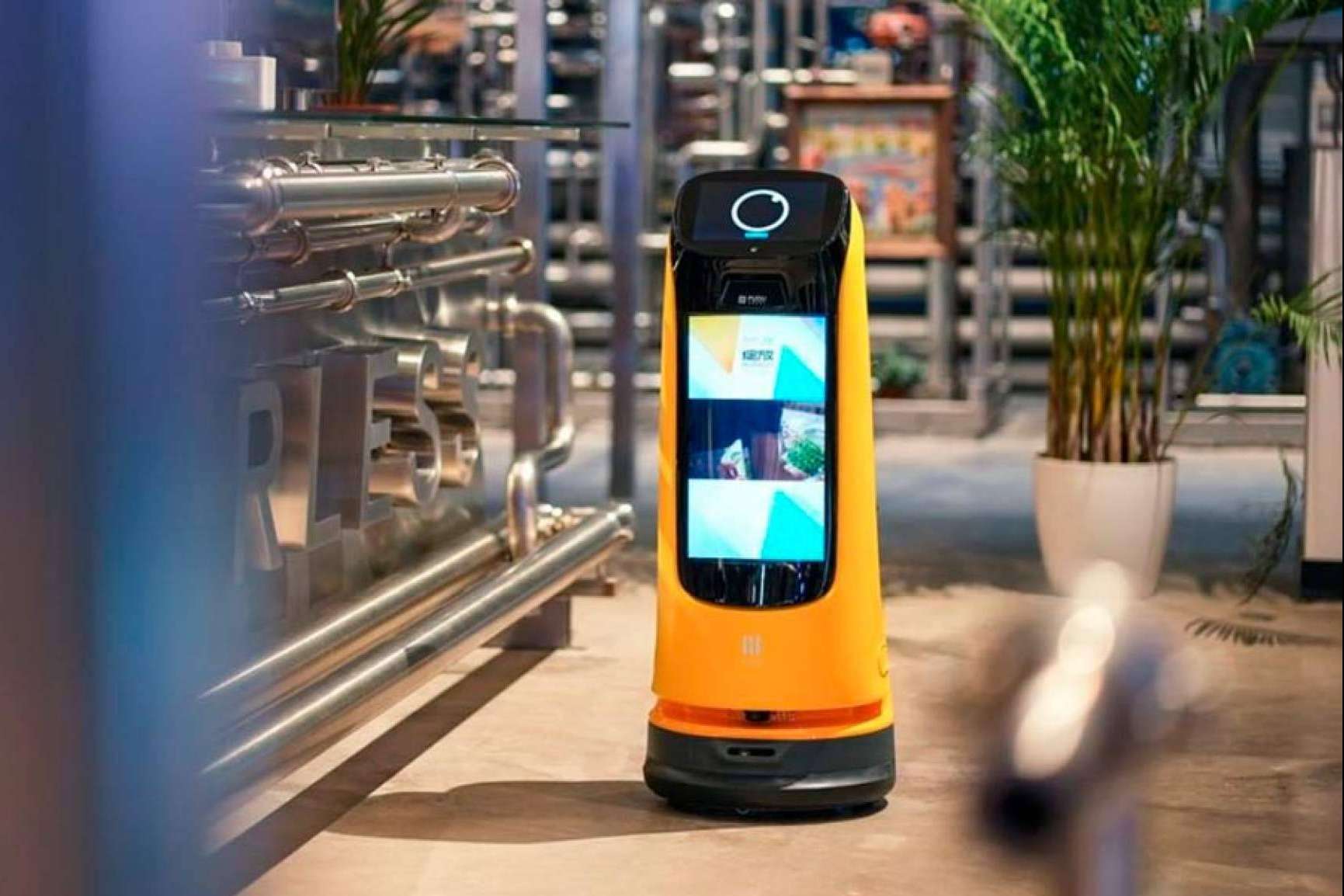 Kettybot, el robot ayudante para diversos negocios, por Telsystem
