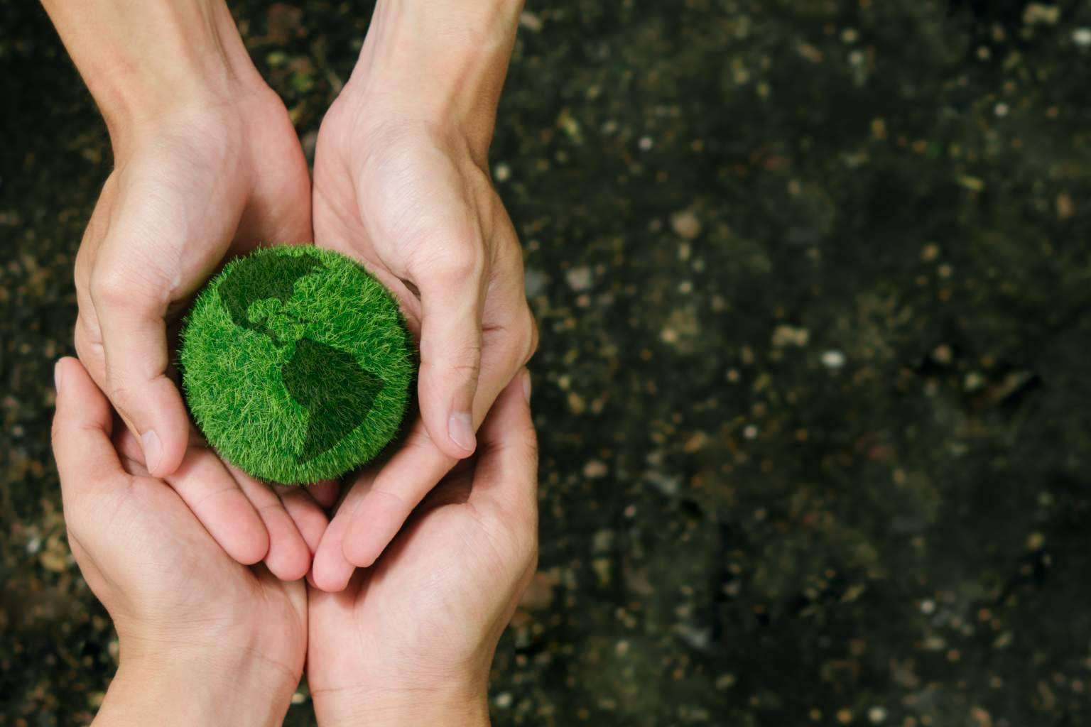 La página web de Verdú tiene la certificación de web neutra en CO₂
