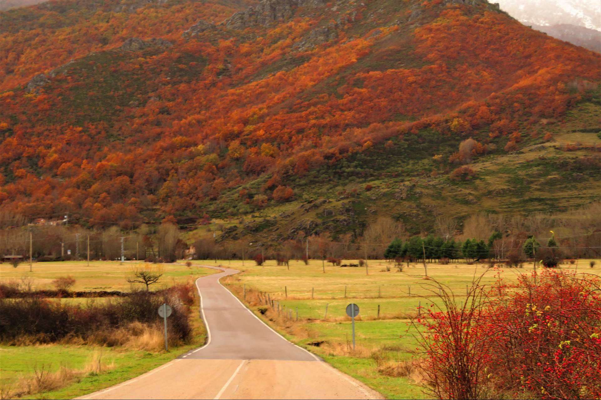 Descubrir España a través de rutas creadas por expertos locales, de la mano de Rutasen.es