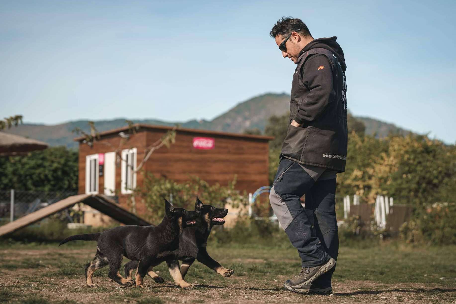 Curso de Adiestrador Canino Profesional. Escuela de adiestramiento Monte Ida