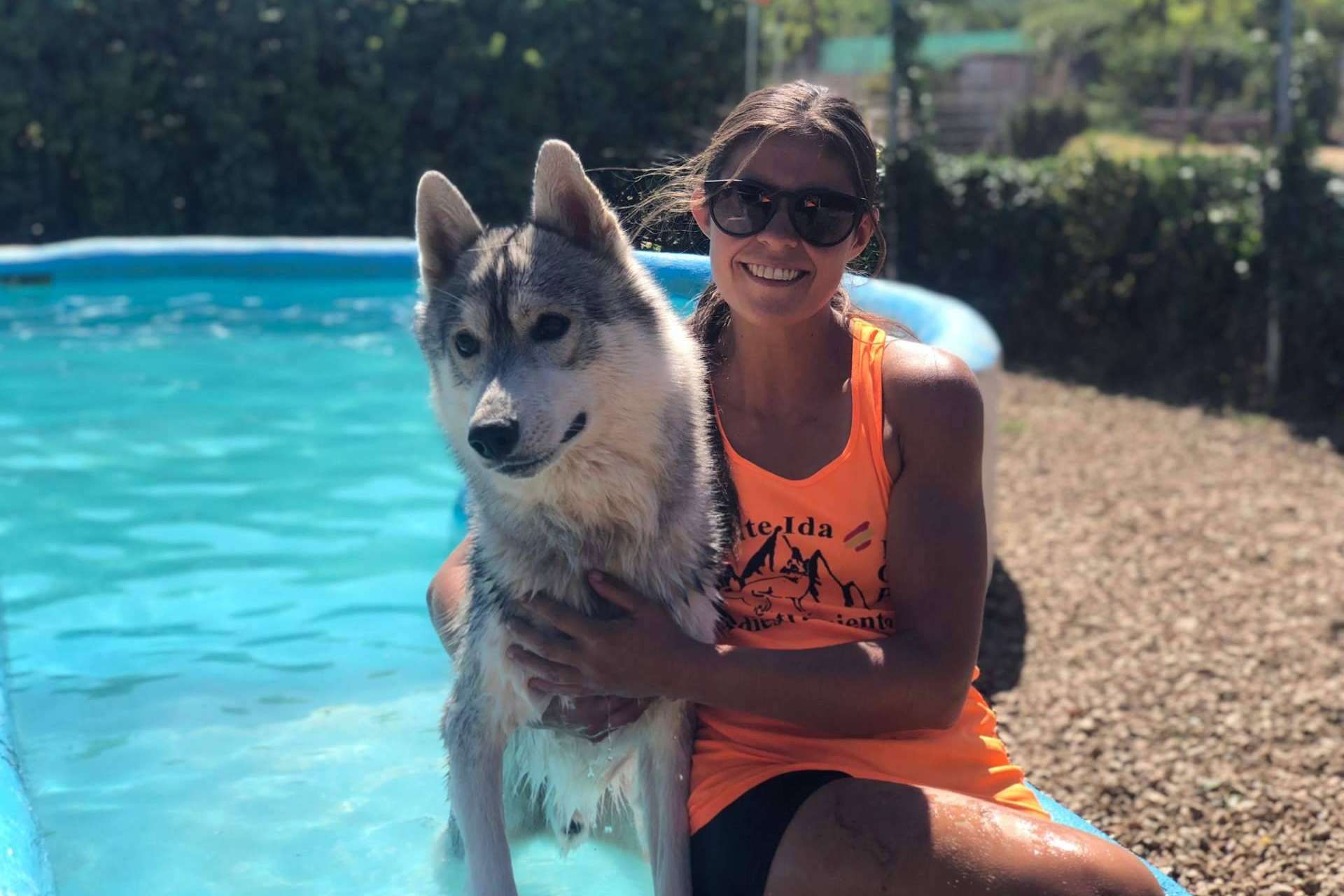 Lujoso hotel residencia canina con piscina en Madrid