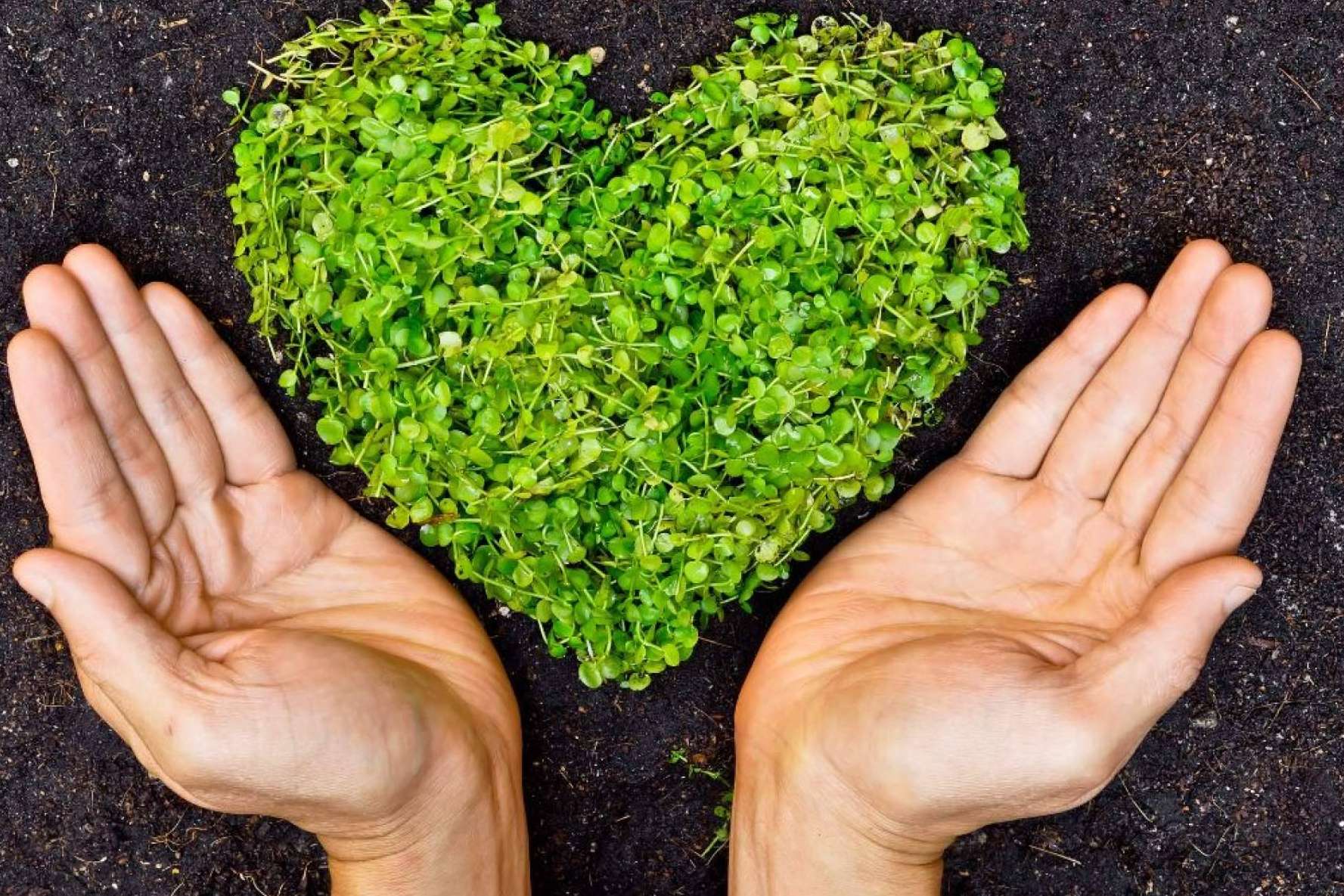 Naturtierra se consolida como una de las marcas más valoradas de complementos alimenticios en gran consumo