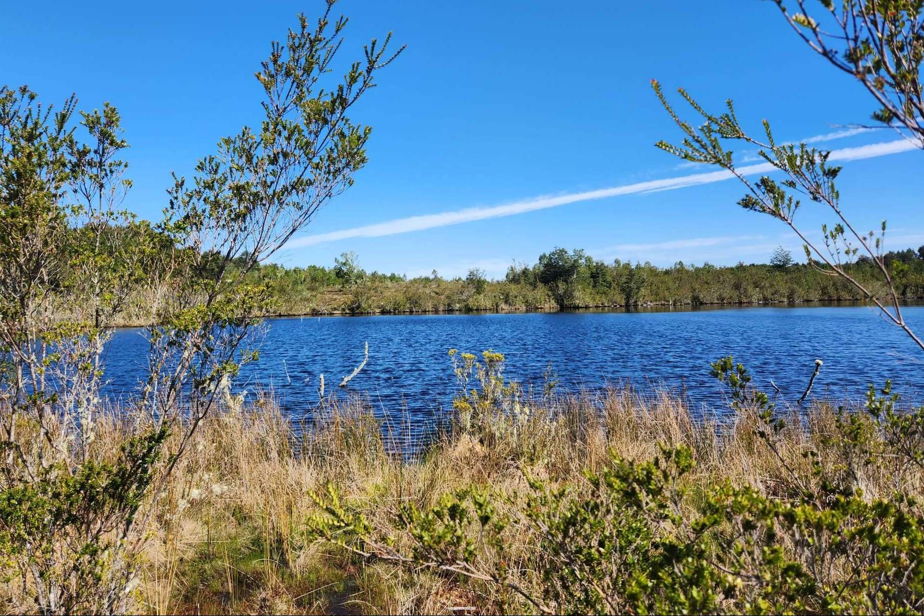 Los proyectos de parcelas de Latitudes Australes que permiten disfrutar la tranquilidad y la belleza de Chiloé