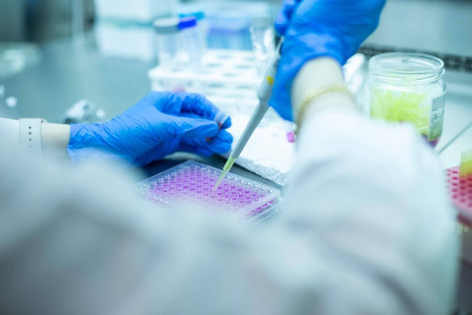 Immunotherapy Regenerative Medicine, expertos en células madre en México