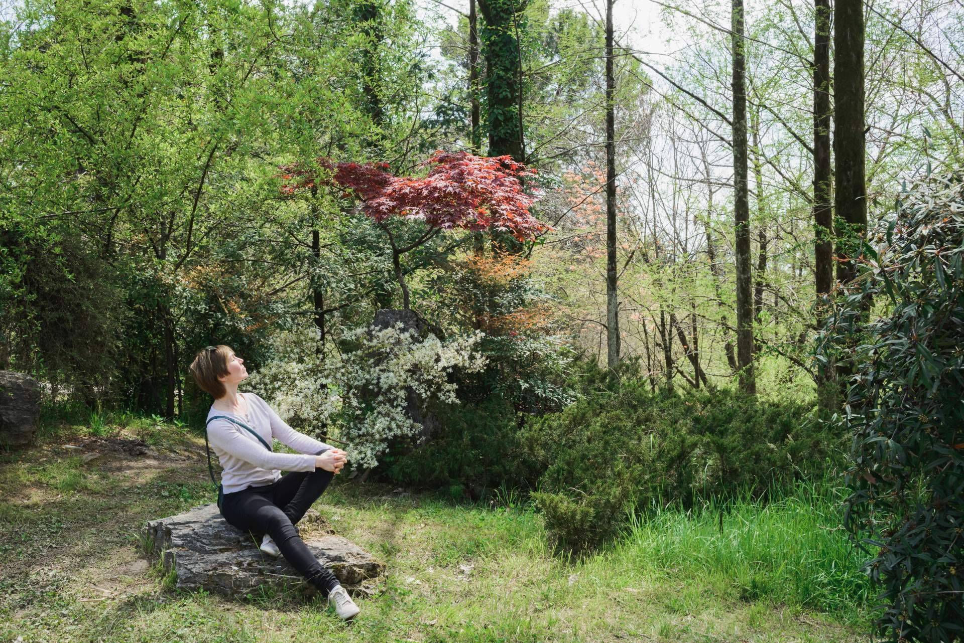 Baños de Bosque Madrid, una herramienta eficaz de salud y bienestar en el trabajo