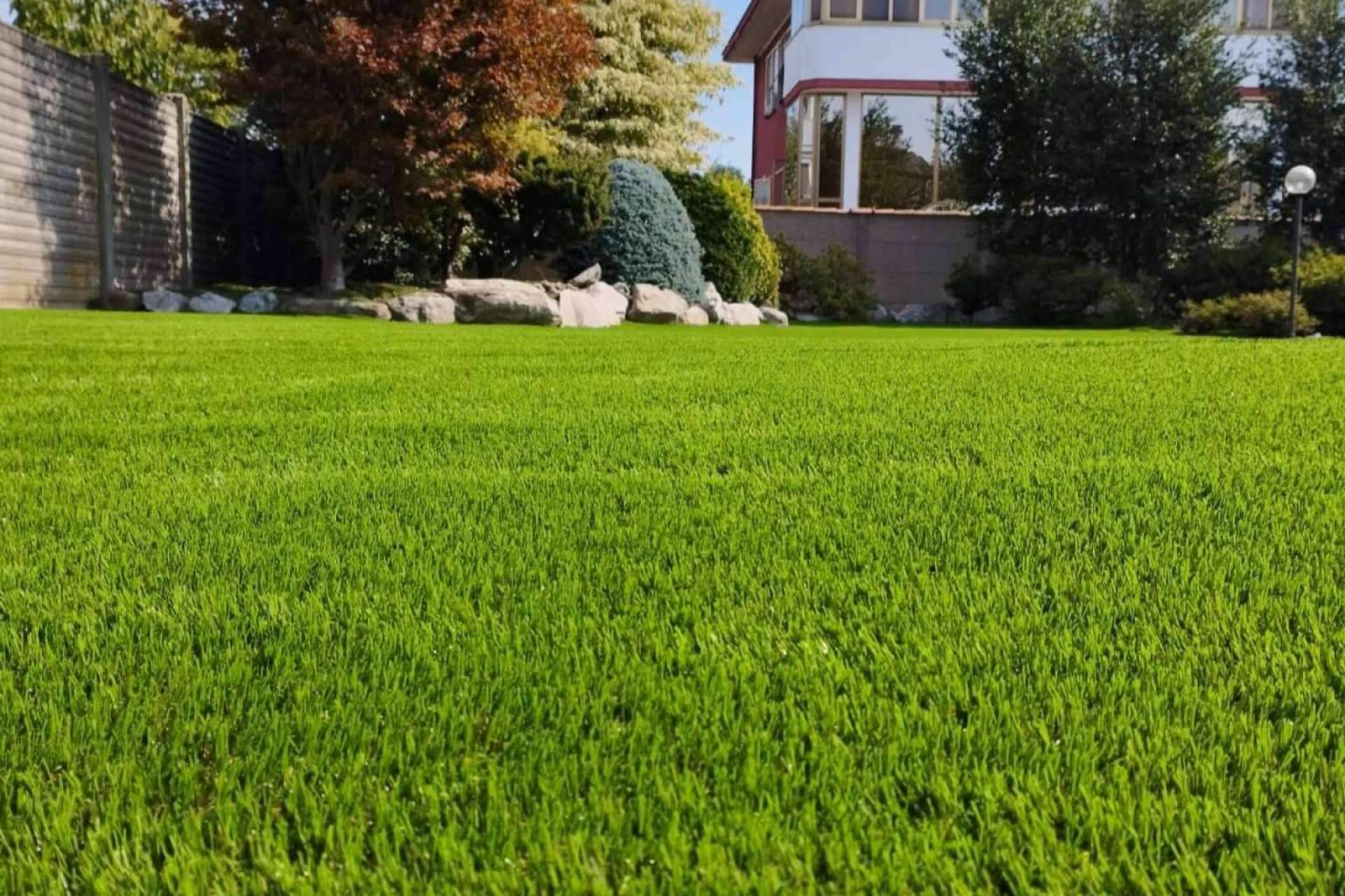 La variedad de modelos de césped artificial de procedencia 100 % española de Albergrass