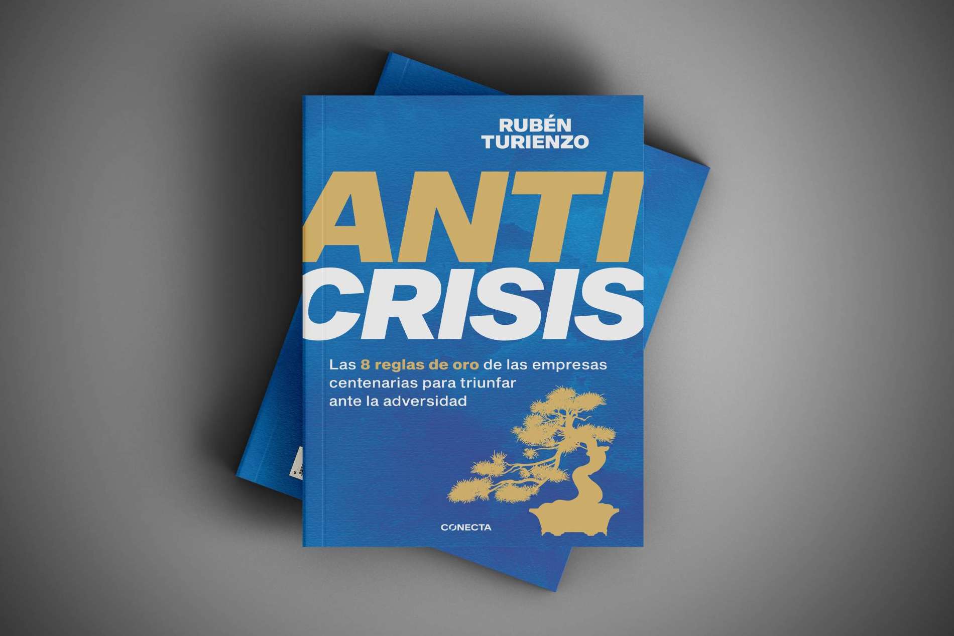 El libro 'Anticrisis' revoluciona la mirada empresarial con una investigación de las compañías más longevas del mundo