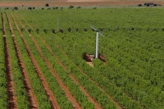 Innovación al rescate de los cultivos; los sistemas antihelada ecosostenibles de Grupo SPAG
