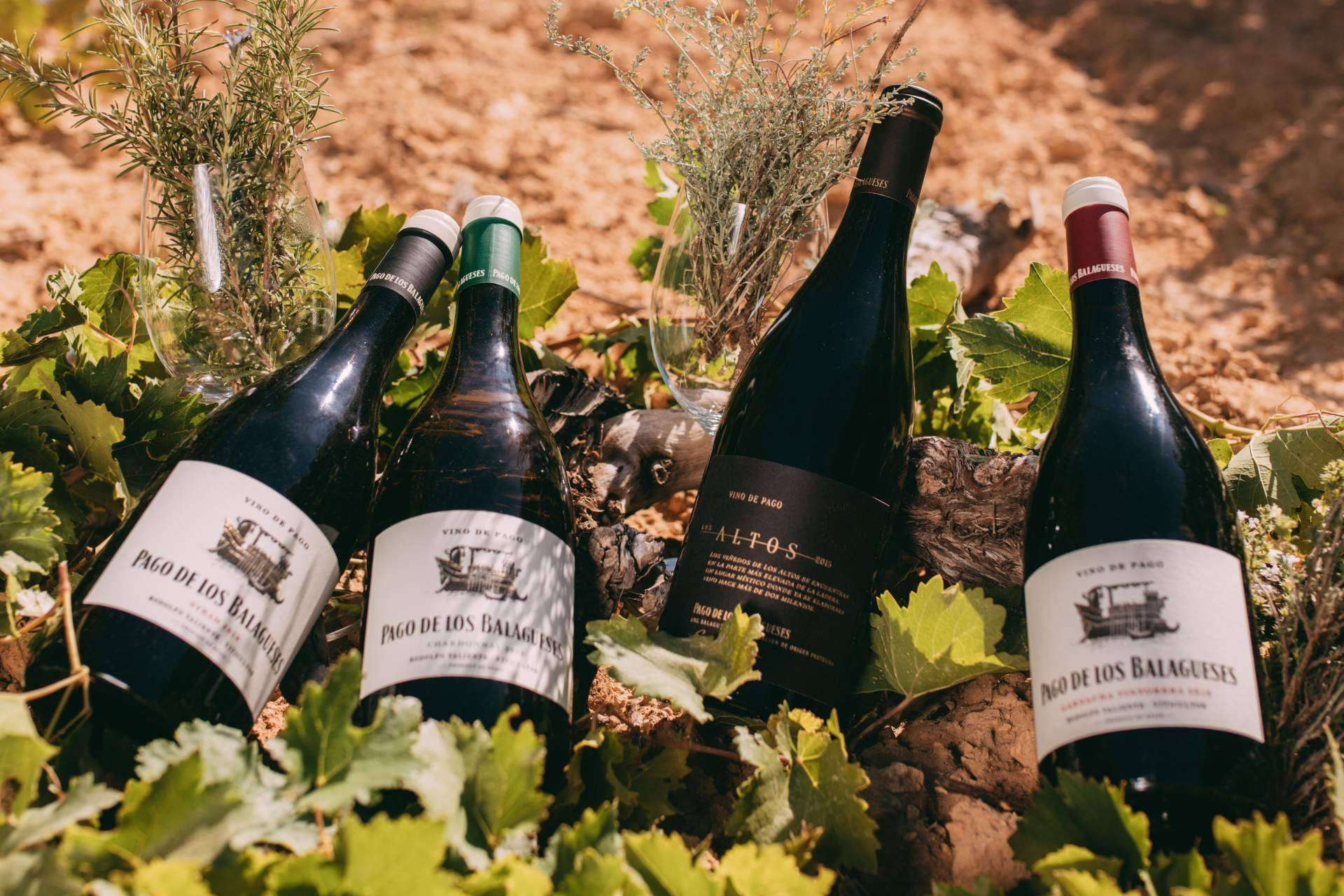 Pago de los Balagueses destaca como la marca de vinos premium de Bodegas Vegalfaro