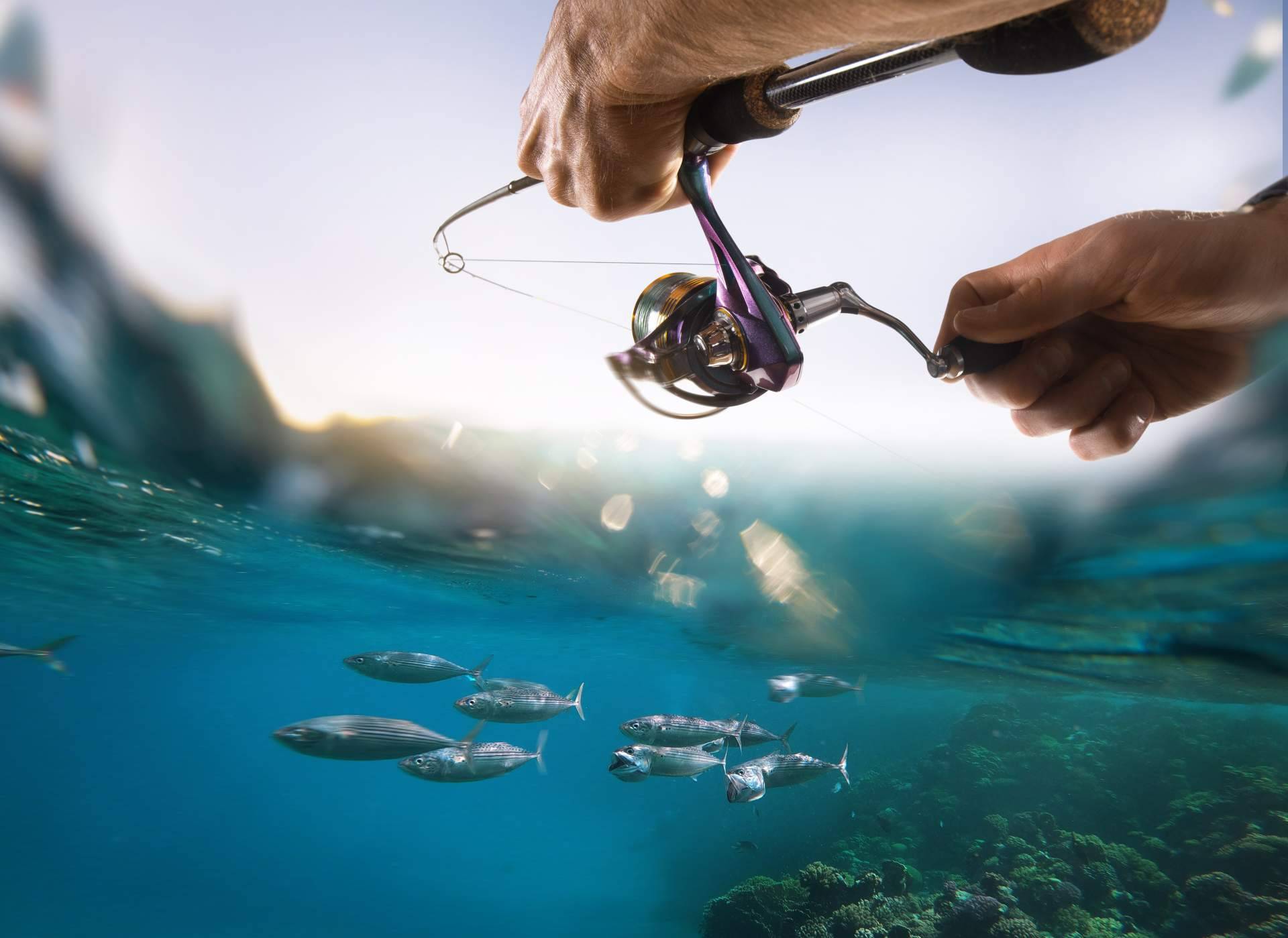 Consejos para la temporada de pesca de atún 2024, por Pescamar