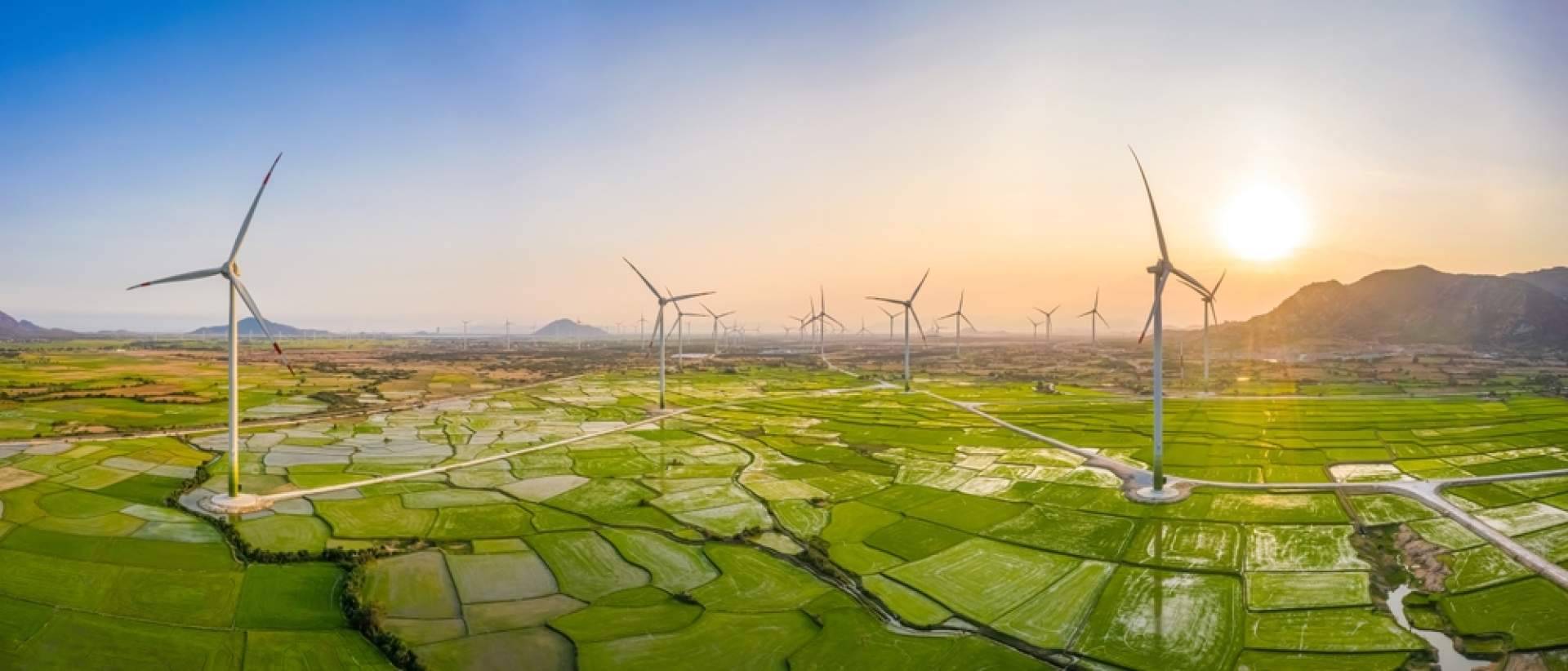 El futuro de la energía según Multienergía Verde