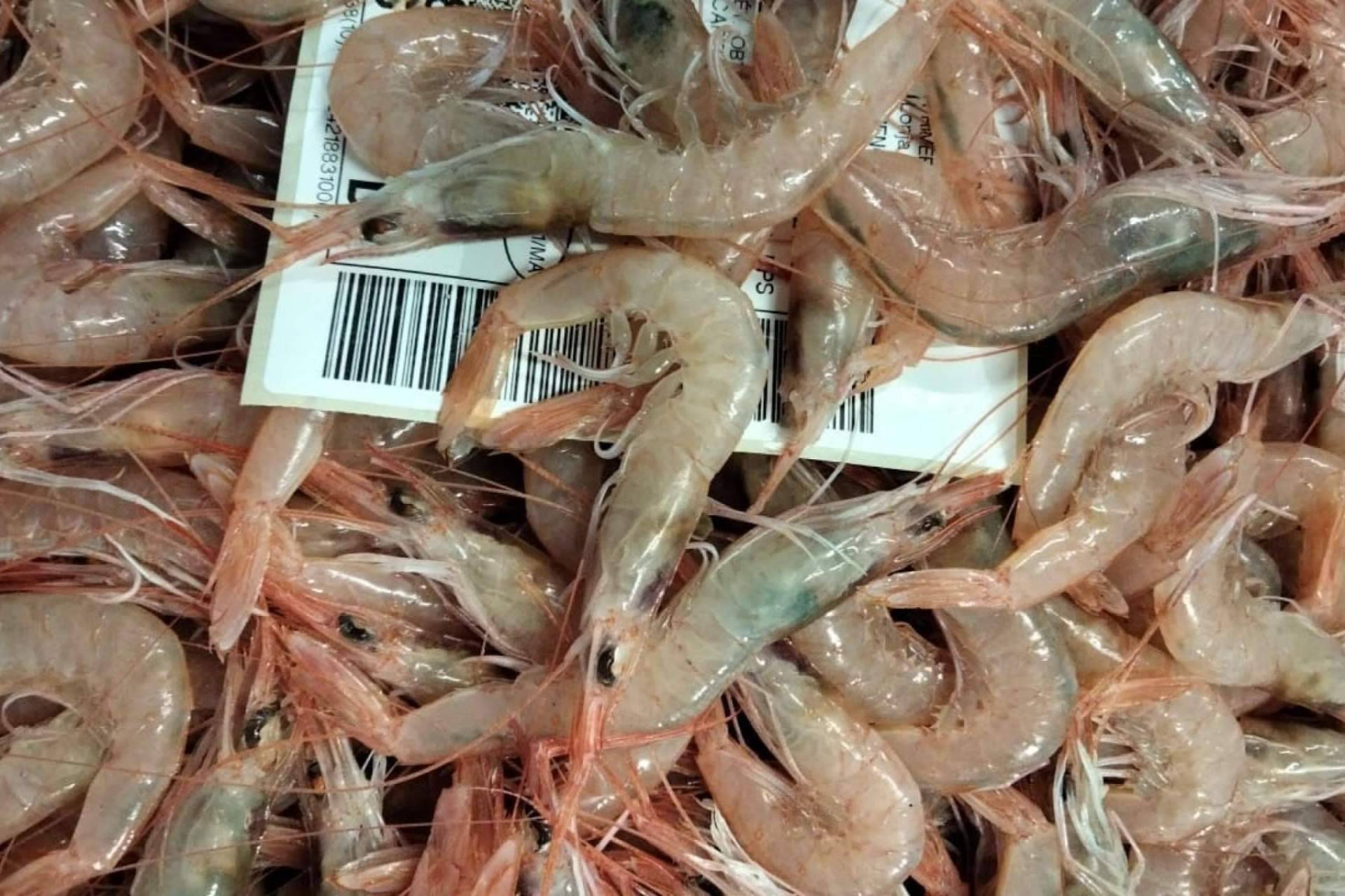 ¿Dónde encontrar pescados y mariscos de calidad? Pescadería Younes Ceuta