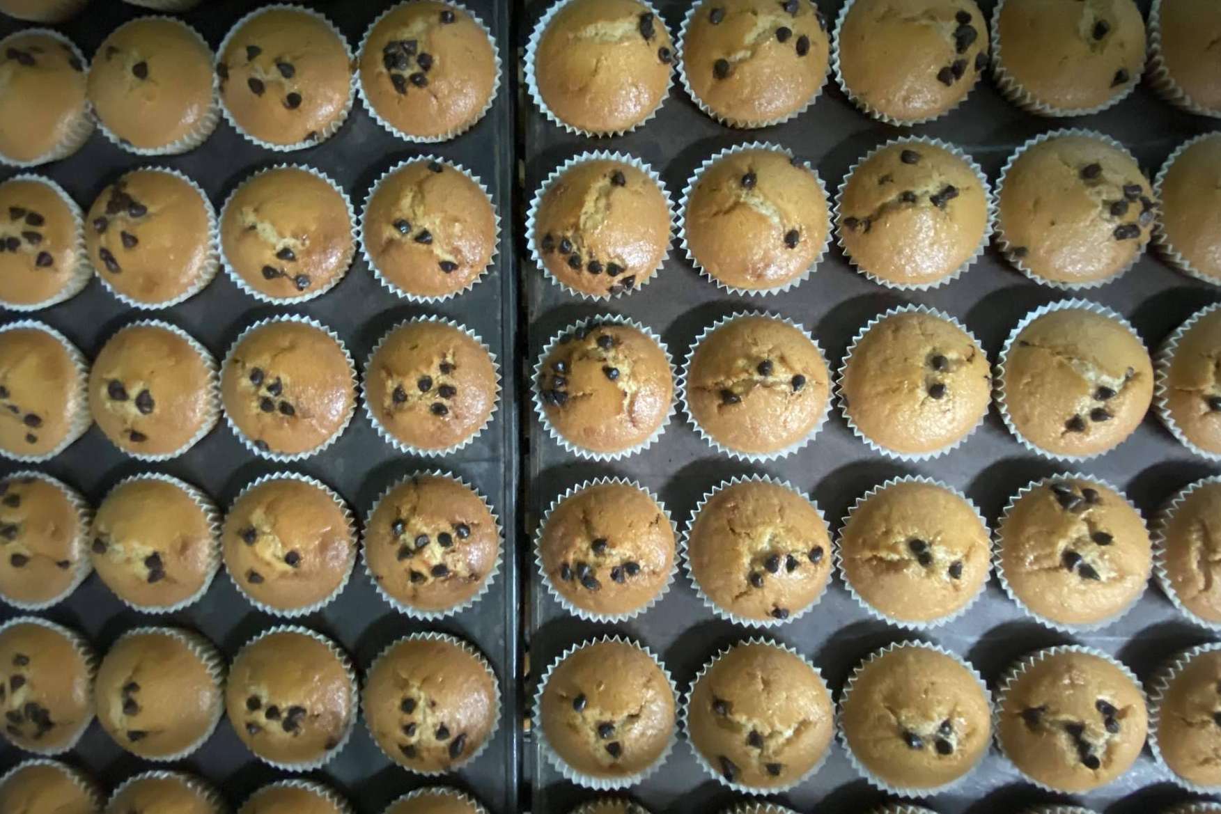 ¿Por qué Veggie Maai es uno de los fabricantes de repostería vegana más importantes de España?