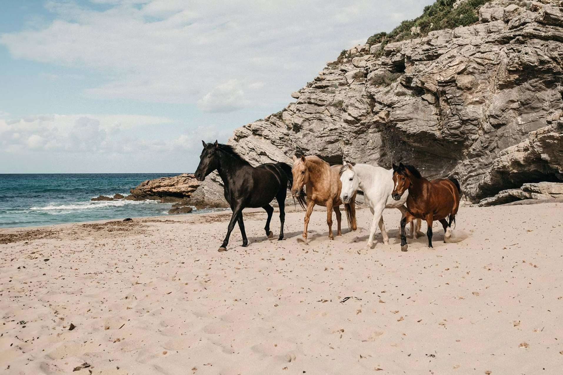 Coaching asistido de caballos para personas individuales con Son Cavalls