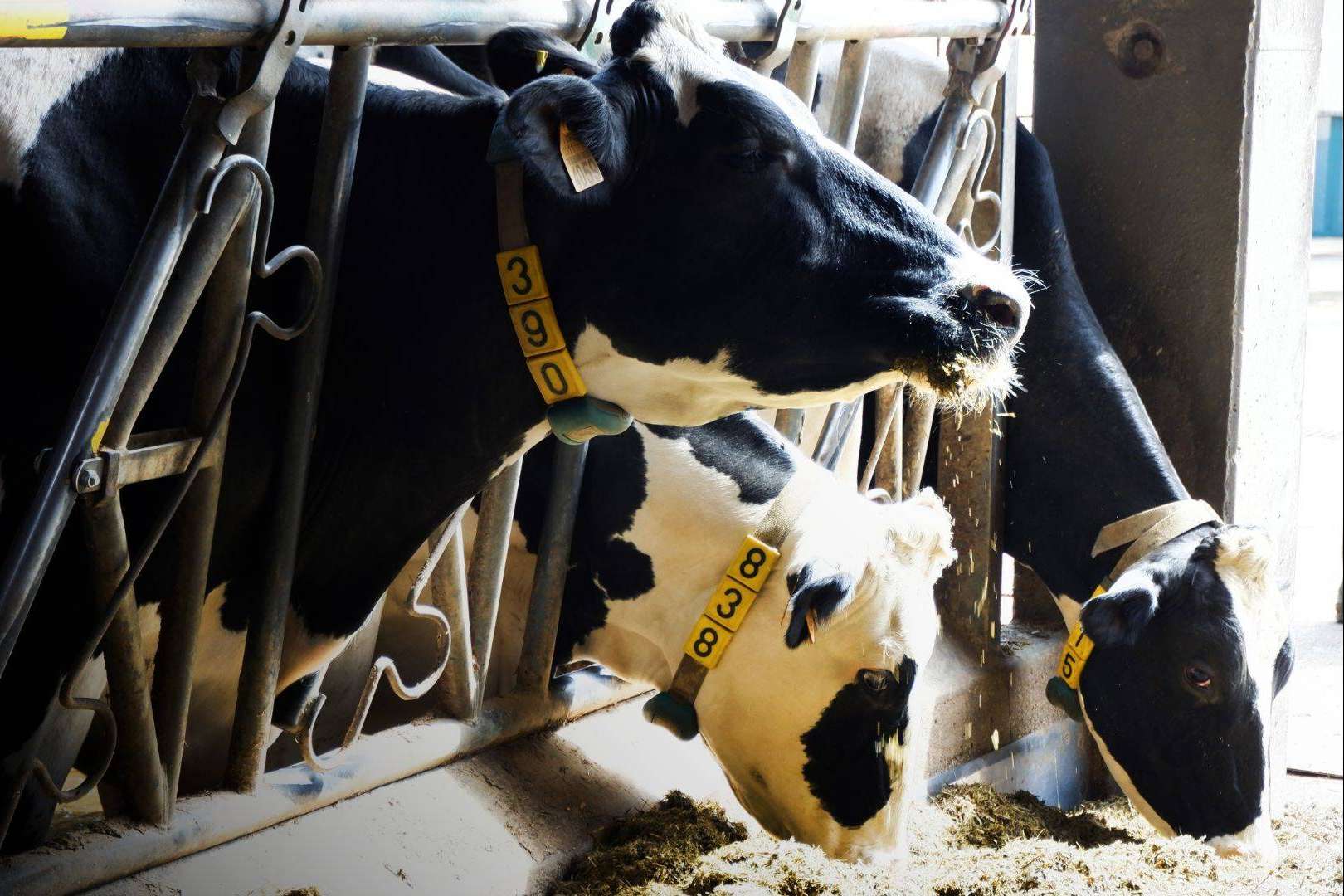 Ucoga se encarga de la gestión de seguros agrarios