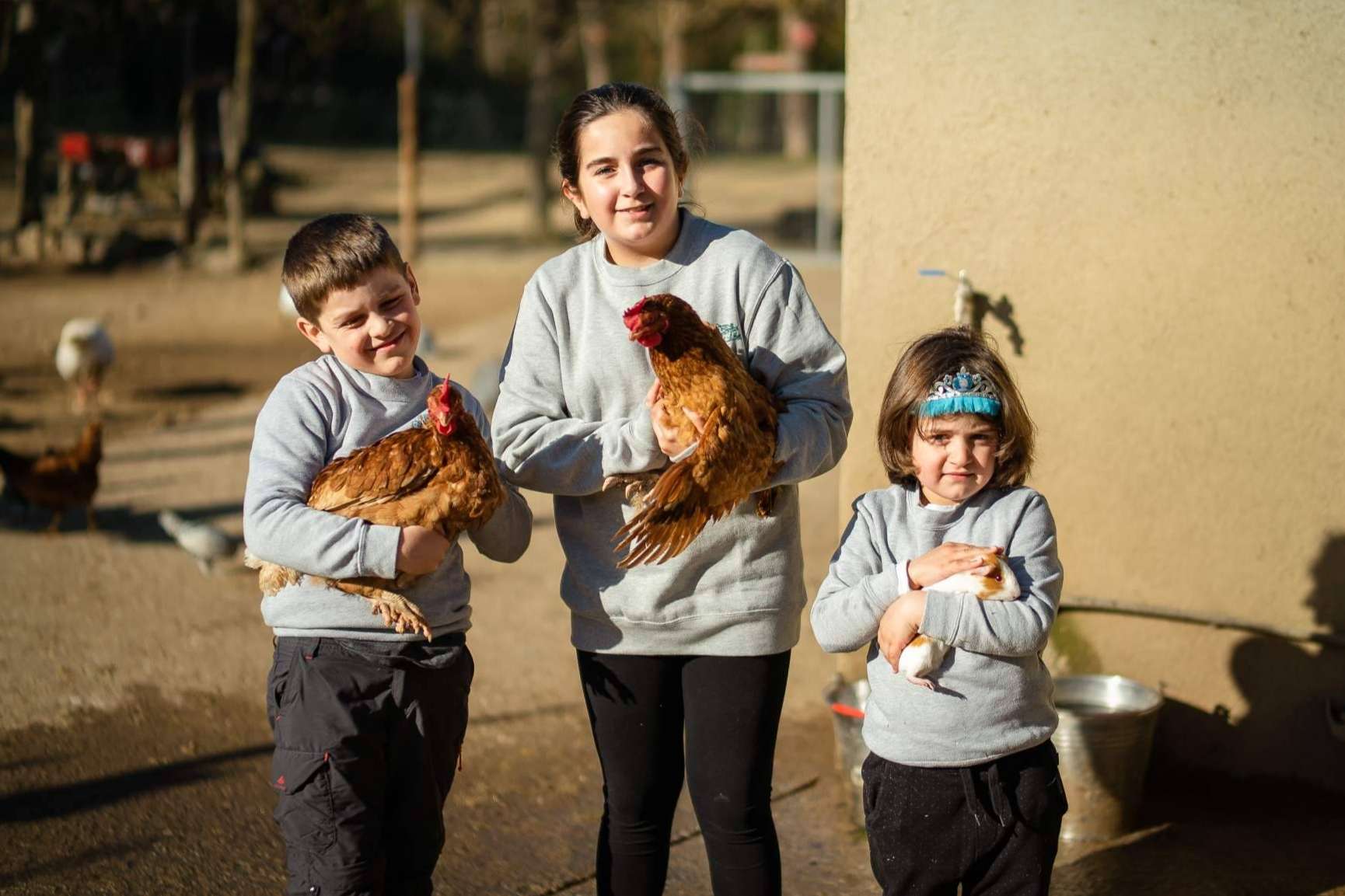 Can Plana es una opción ideal para las familias y escuelas que desean visitar una granja cerca de Barcelona