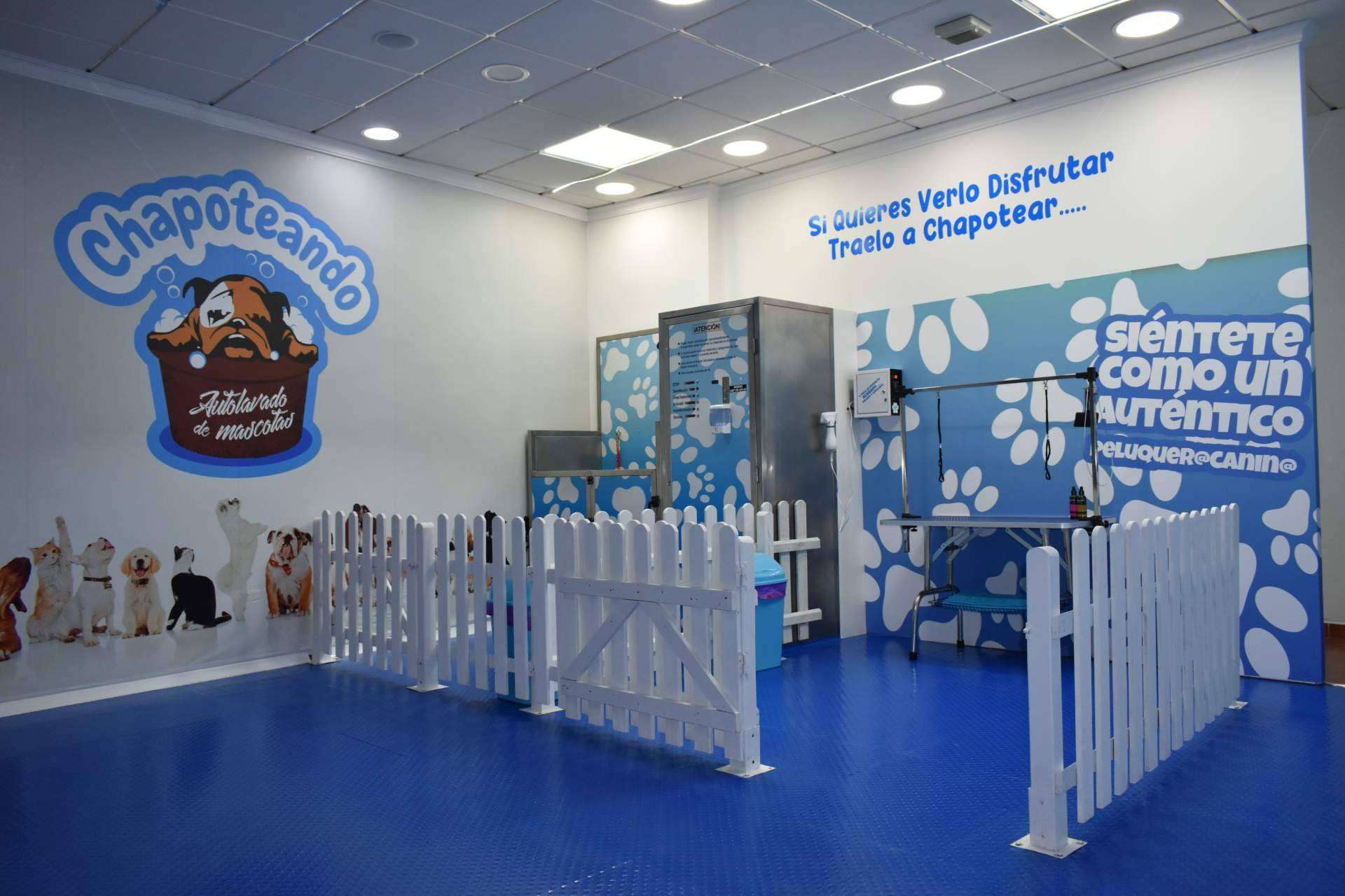 Chapoteando, el servicio de autolavado y bienestar para mascotas