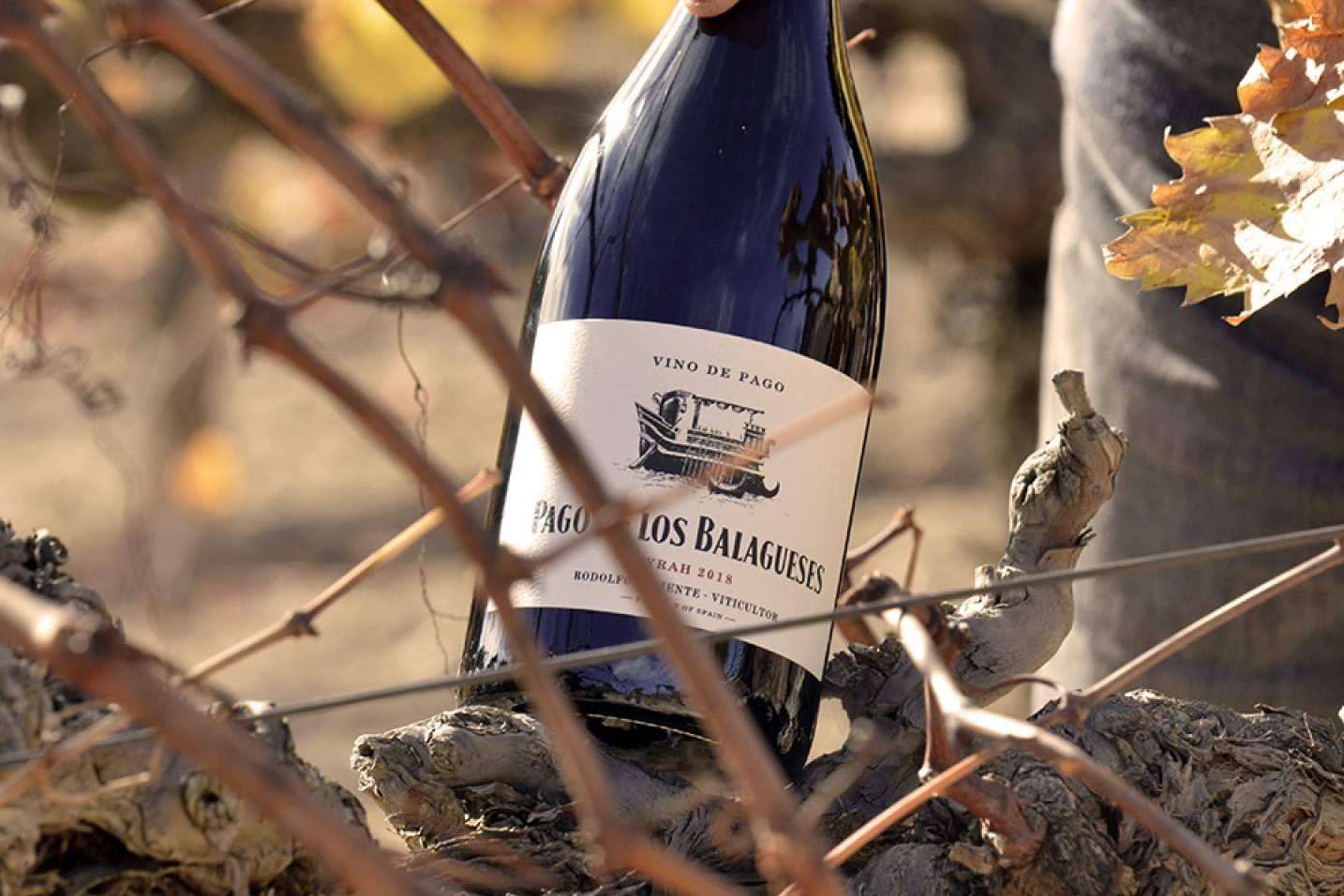 Vinos Vegalfaro, galardonados internacionalmente