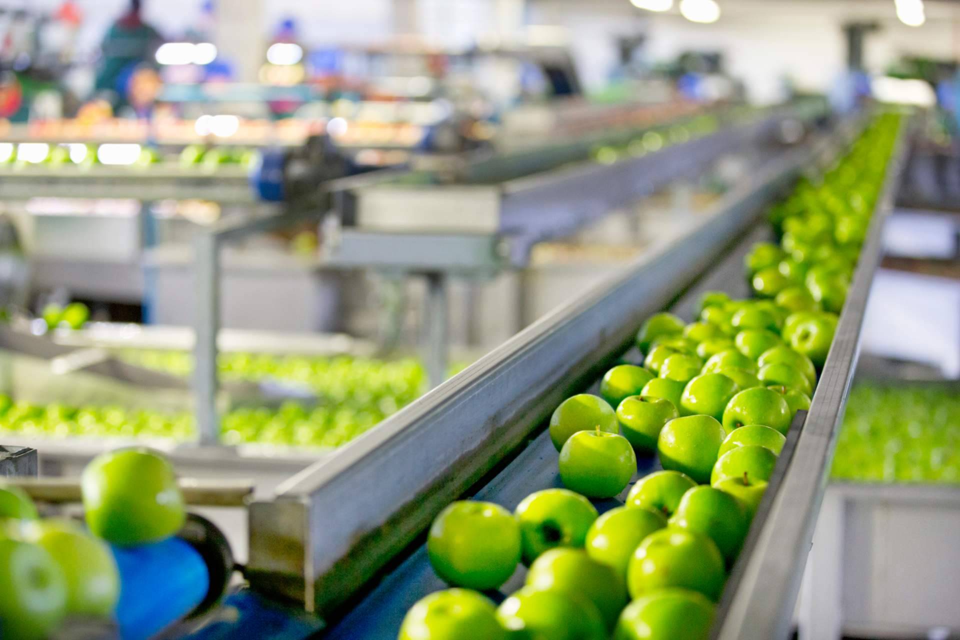 Especialistas en gestión y el análisis de datos comerciales para las empresas
