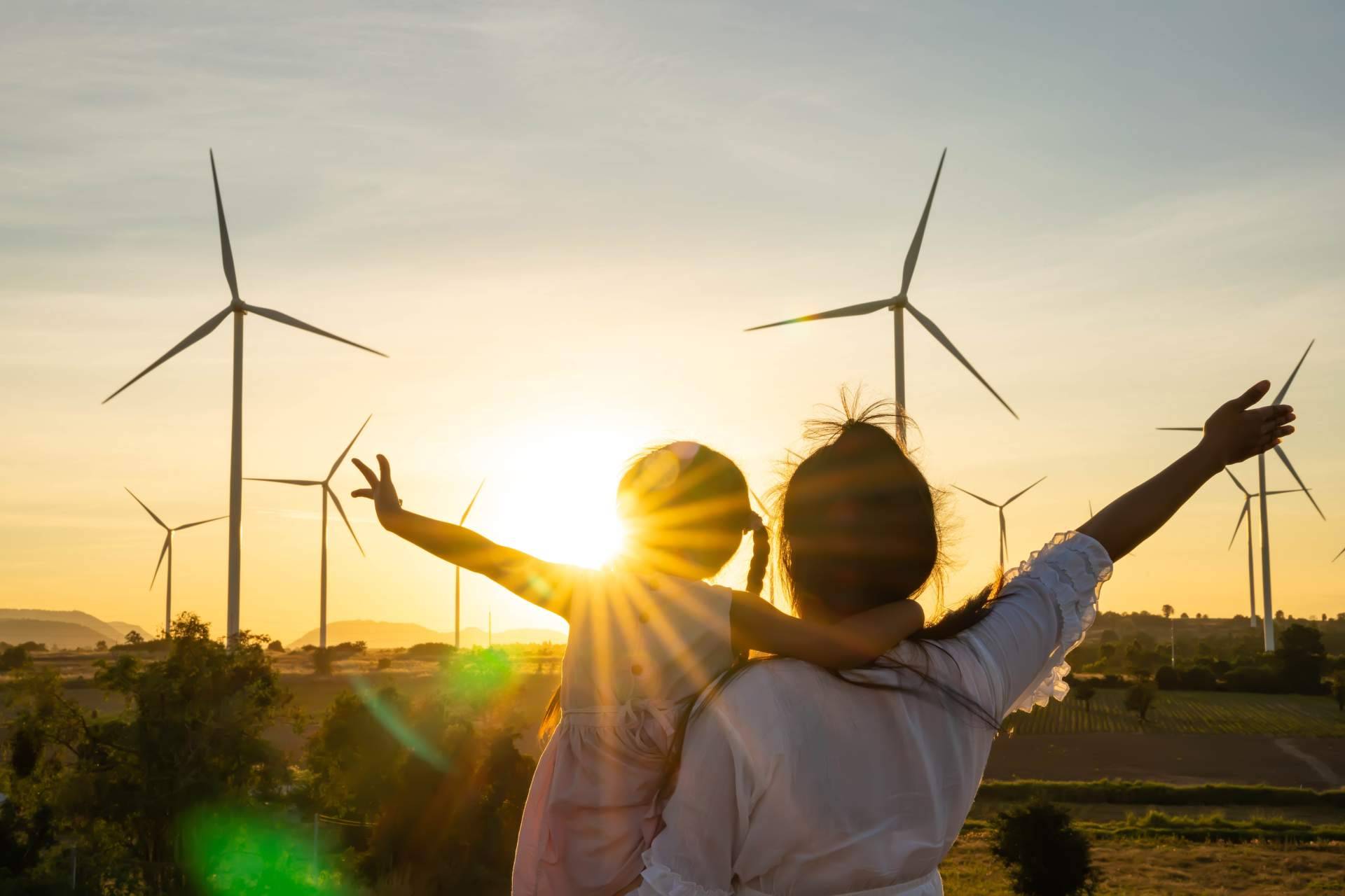 Consorcio Europeo de Avales sobre el almacenamiento de energía renovable