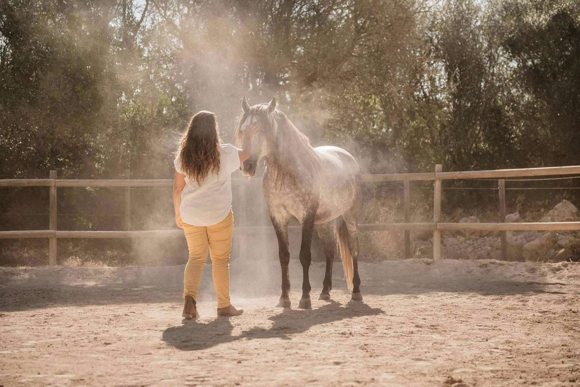 Desarrollo personal a medida, con Son Cavalls