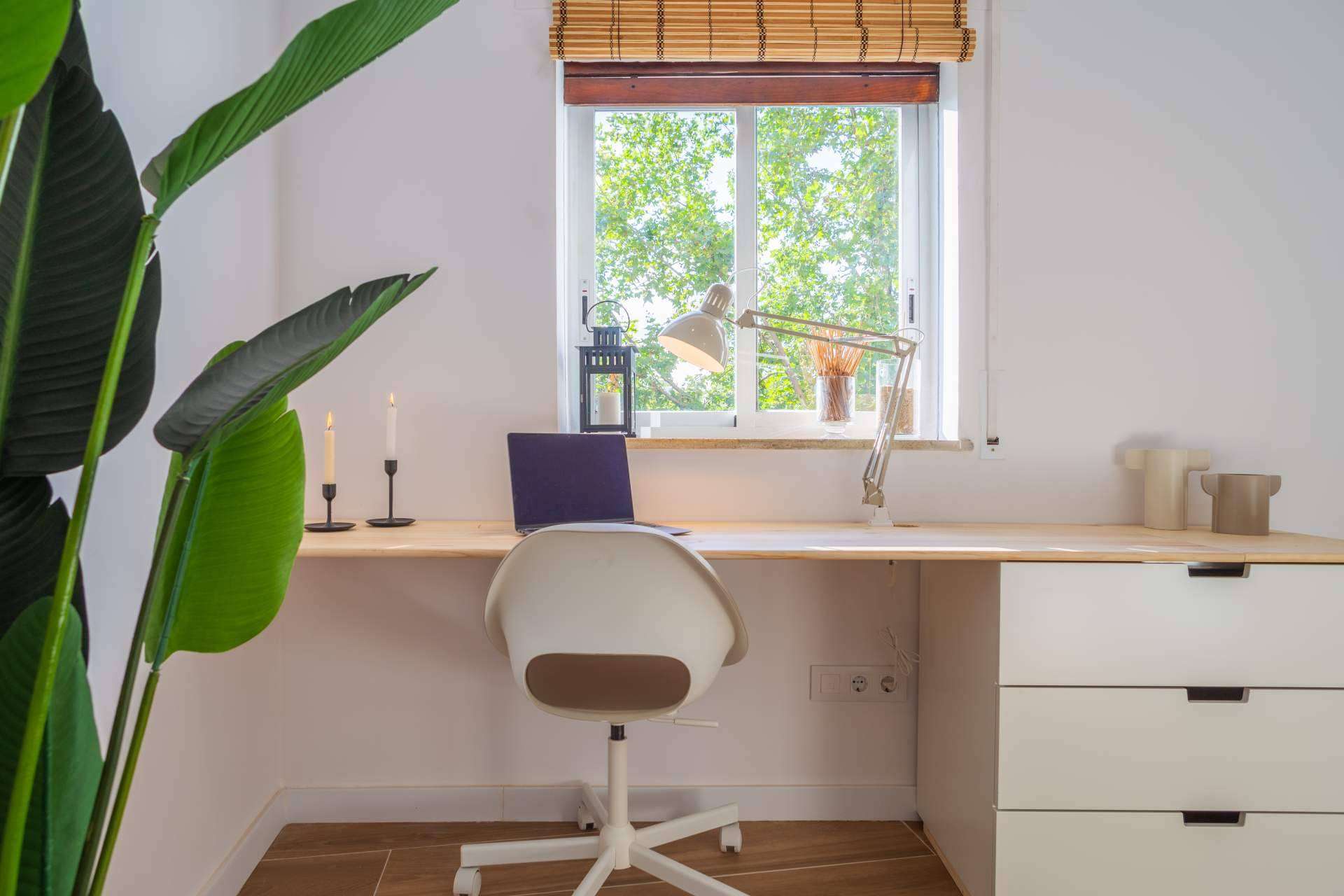 Haaus Coliving, la startup de coliving en España
