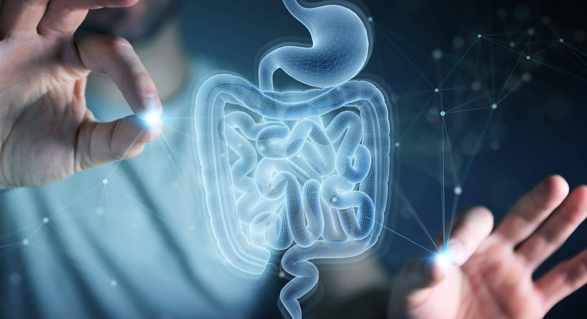 El incremento de los problemas digestivos y de salud relacionados con la alimentación, según los especialistas de la Clínica CINUSA