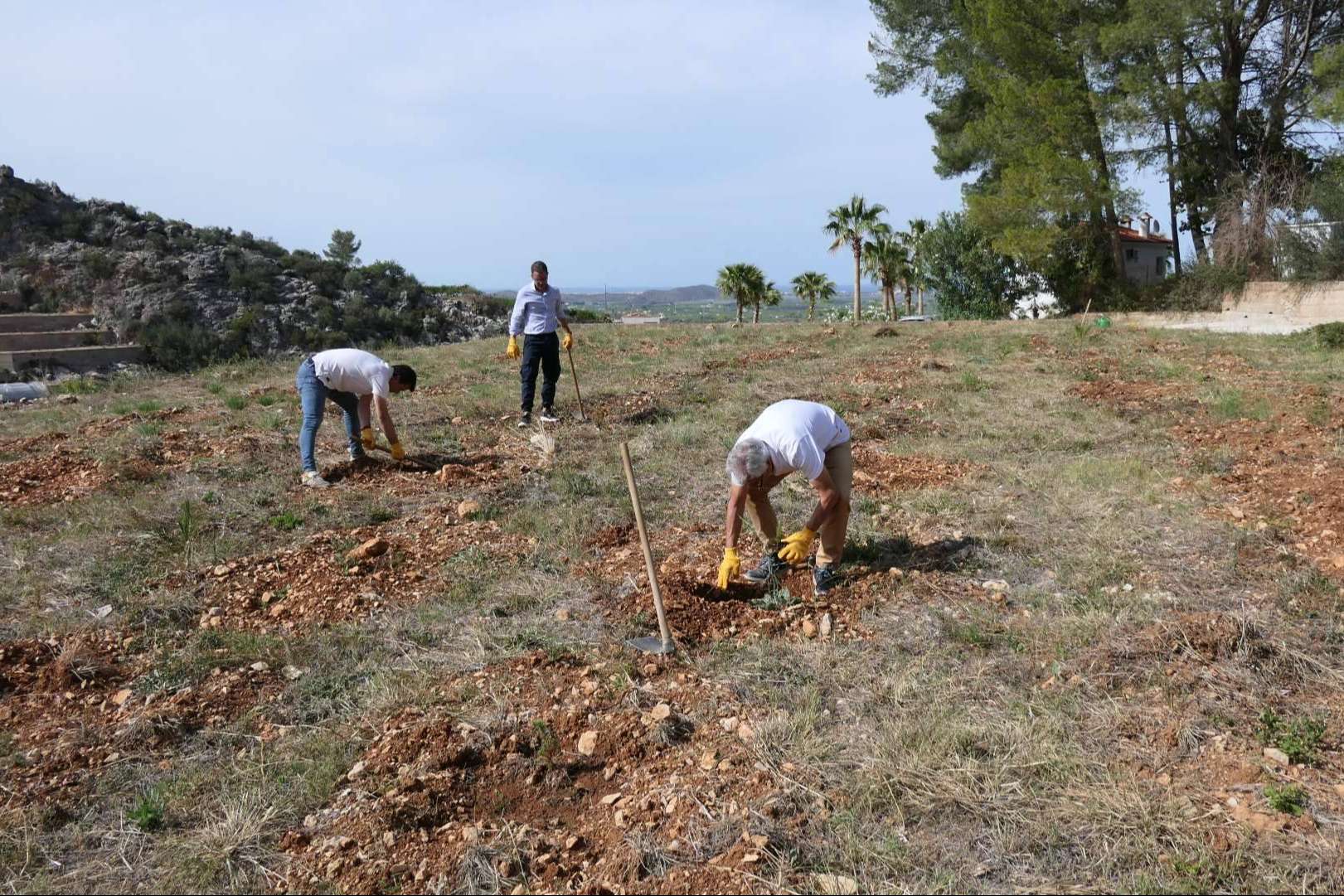 El nuevo bosque de 'Juega tu papel' se planta en Pego, Alicante