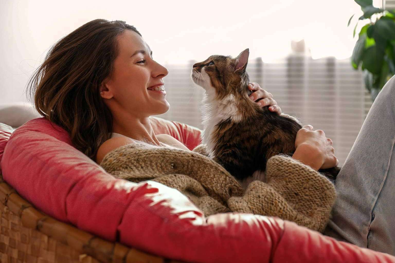 Línea Directa ofrece al segmento de mascotas un seguro competitivo y eficaz