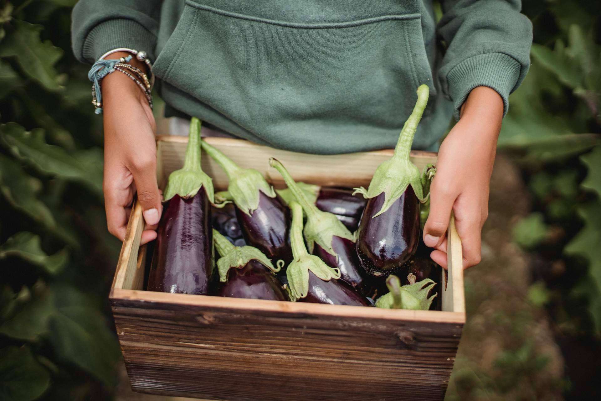 La tienda online de Horta de l'Eixample ofrece una variedad de productos saludables