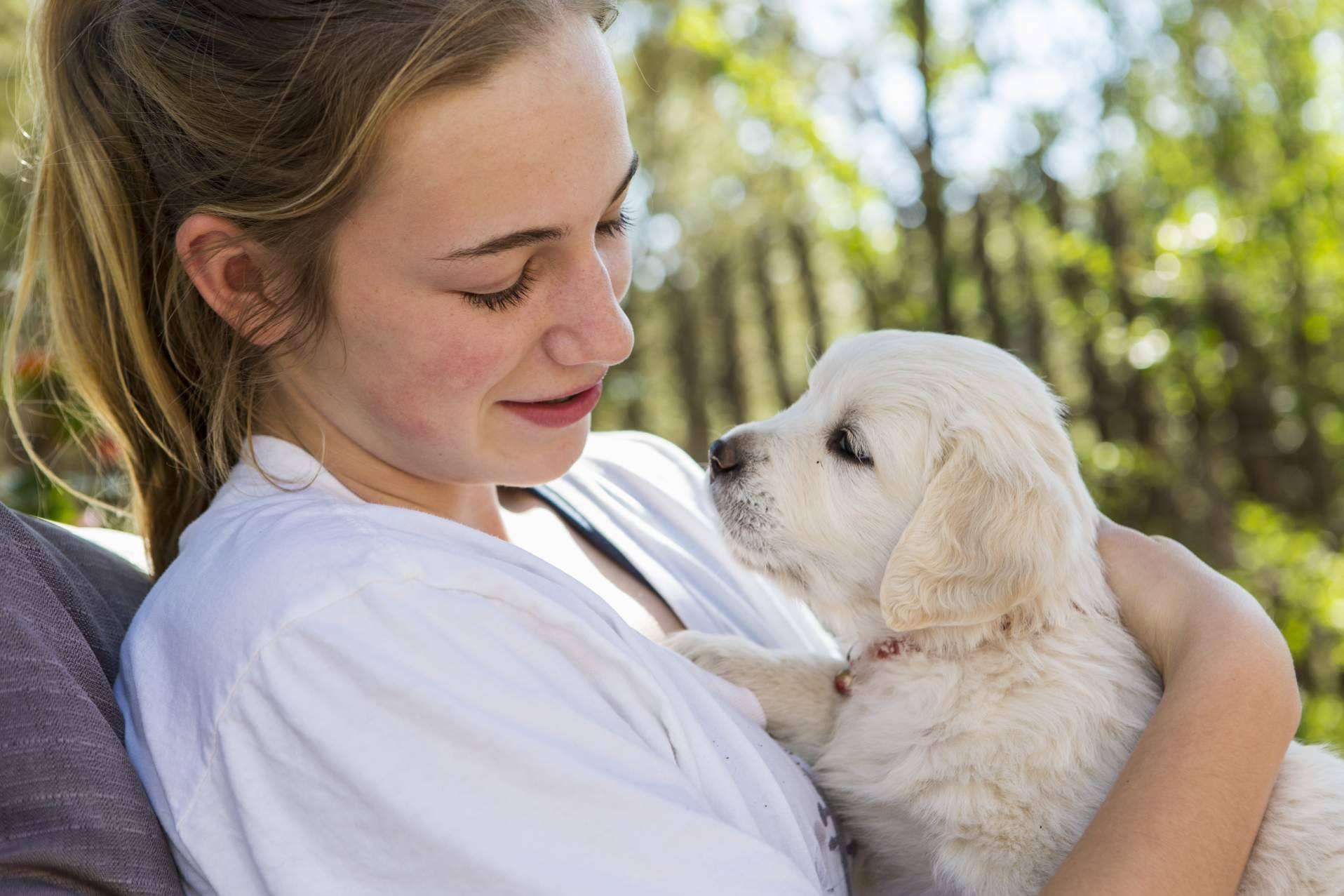 Mascotas para adoptar gratis y cómo buscar la que esté más cerca en la plataforma Mascotasadopcion.com