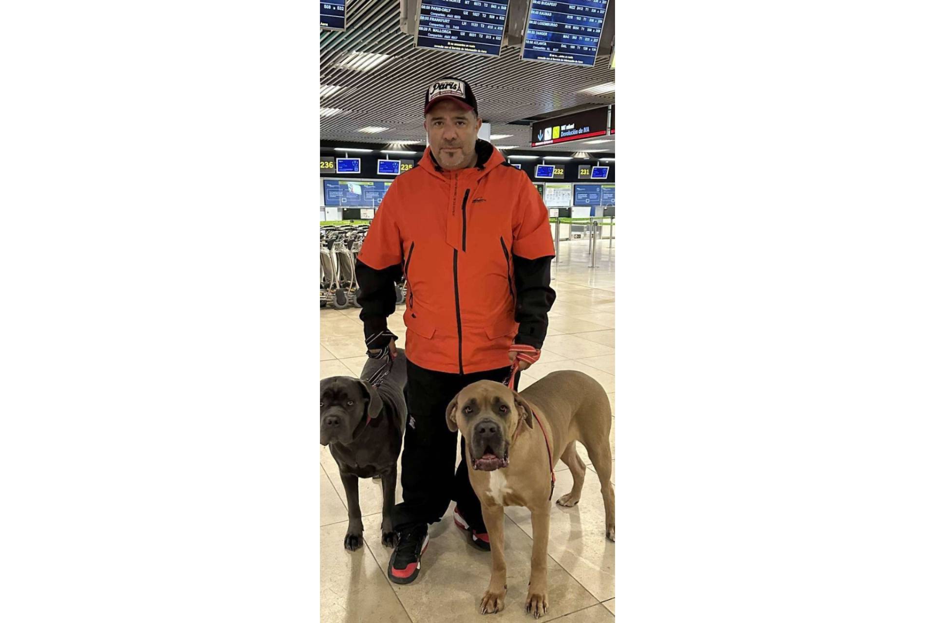 Pet World Travel, una solución integral en el traslado internacional de mascotas