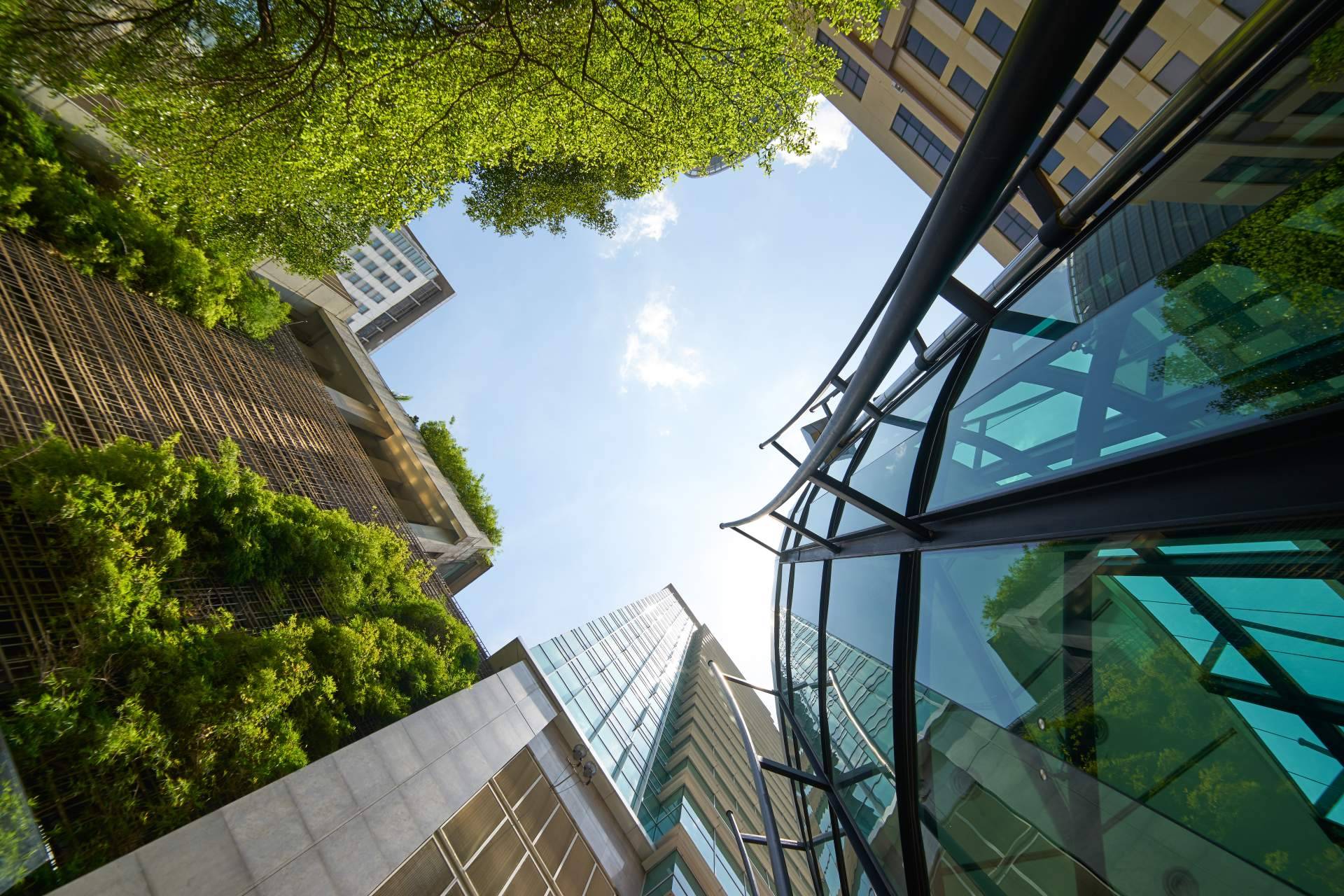 Multienergía Verde, pionera en ecoeficiencia para un futuro más limpio