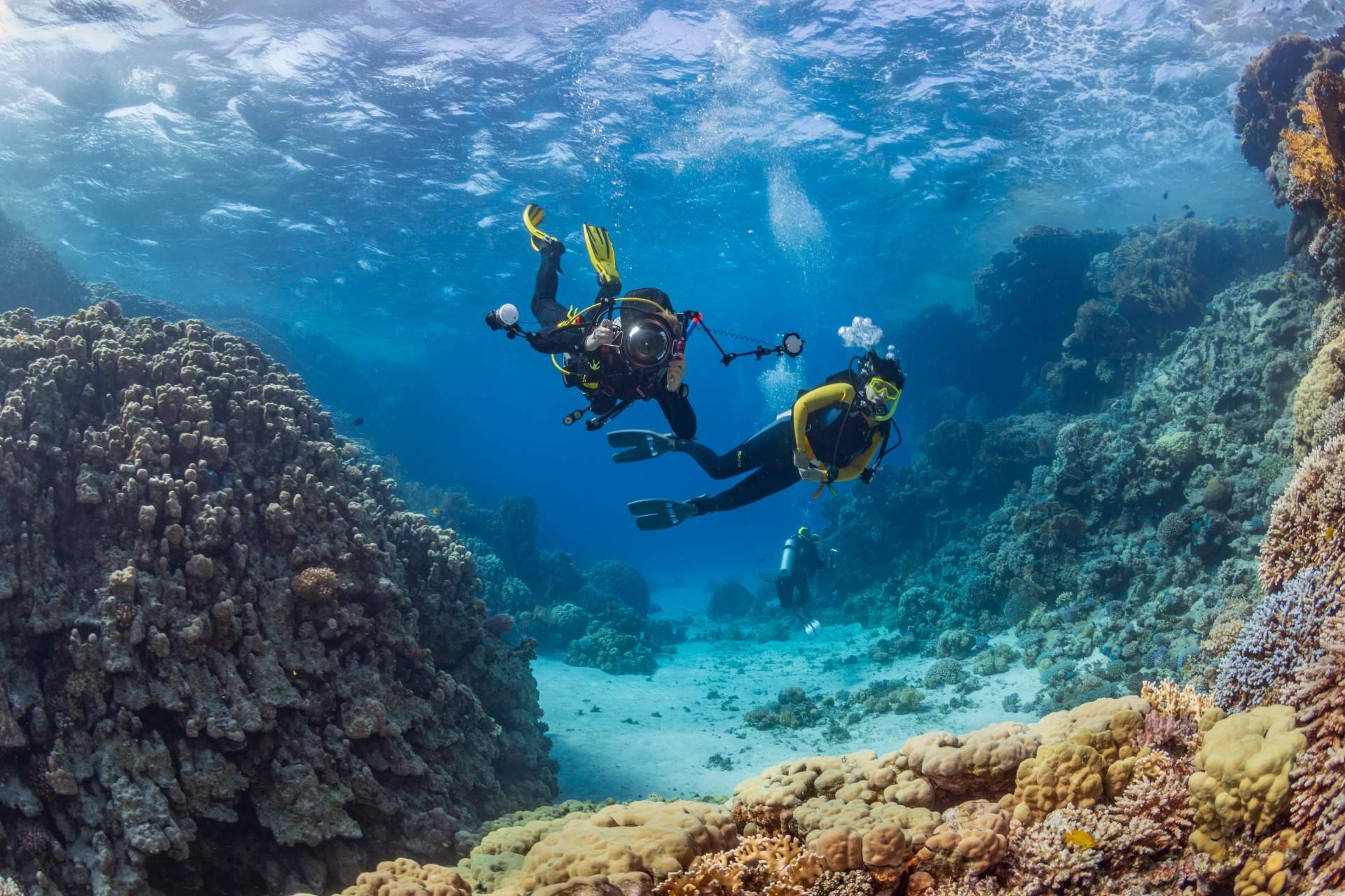 Curso instructor de buceo PADI, con la dirección de Miguel Coll