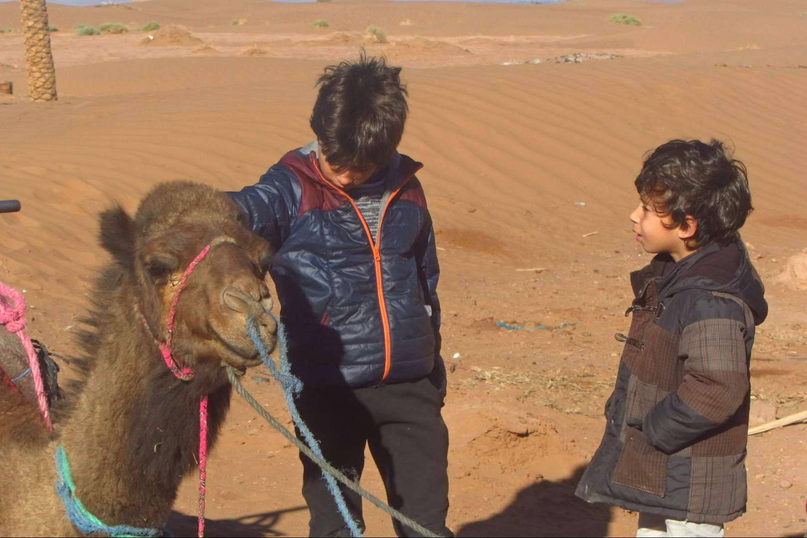 Viajes privados por Marruecos para sumergirse en las raíces culturales del país