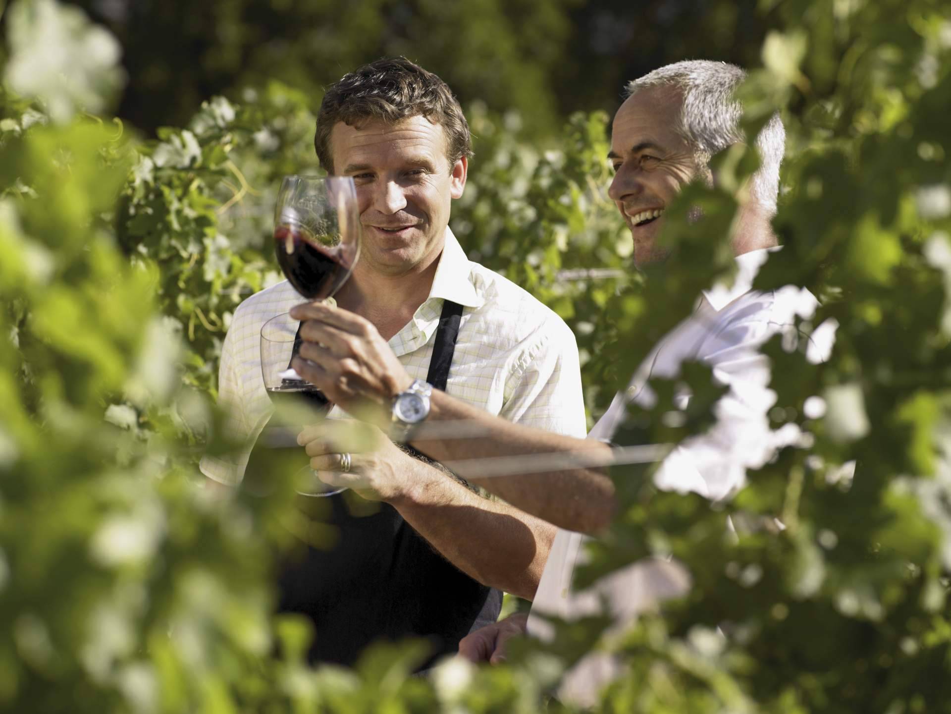 Yecla, uno de los secretos del éxito de Demuerte Wines