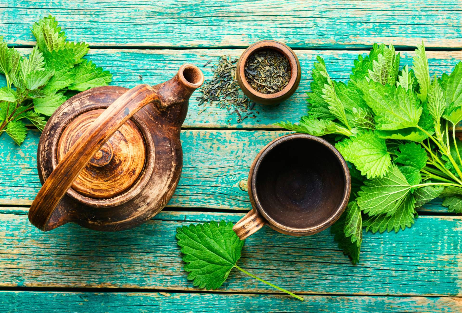 El bienestar holístico y la sostenibilidad se dan la mano gracias a los productos naturales de Herbolario de Confianza