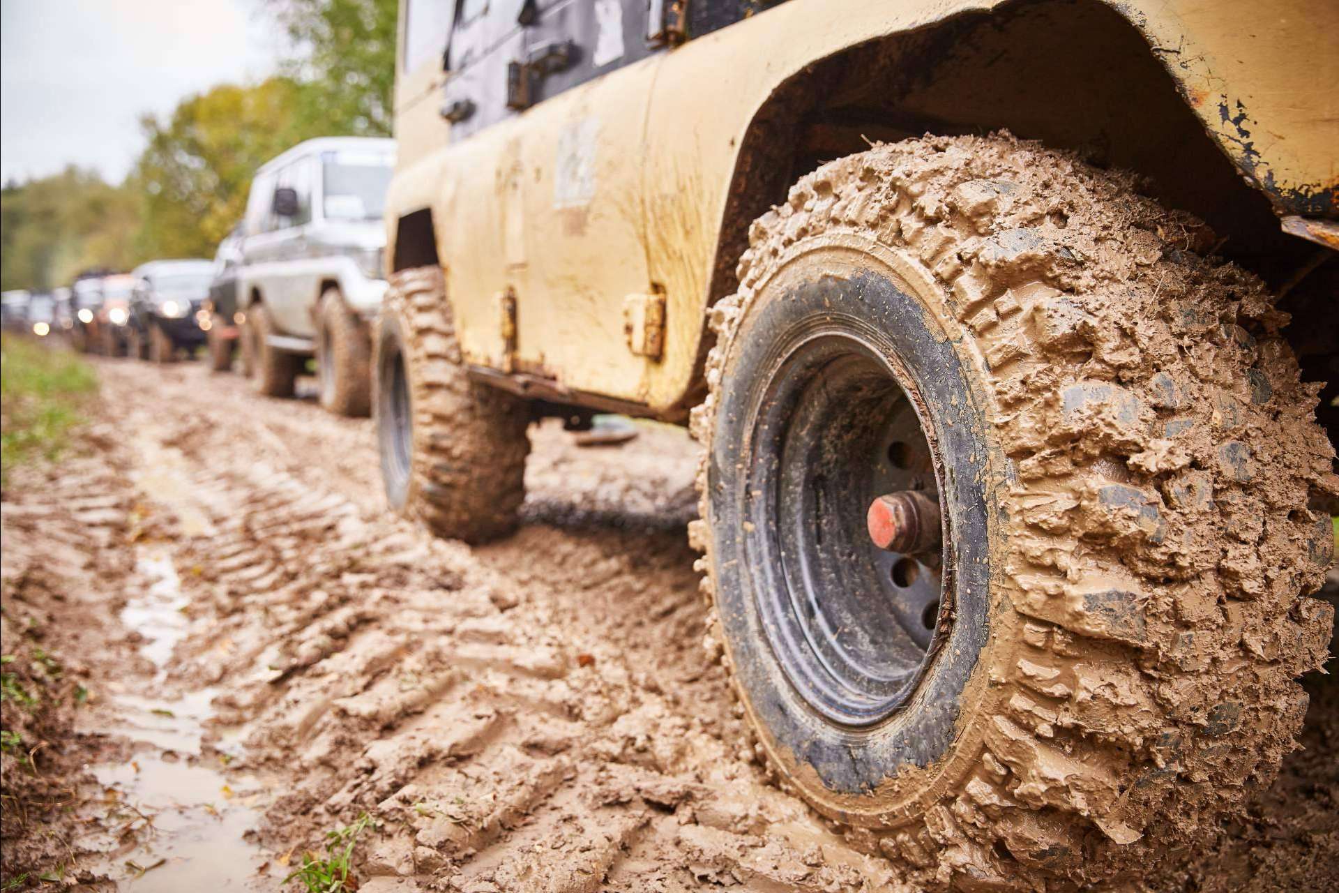Neumáticos 4x4 ecológicos de Insa-Eco, la elección sostenible en Confortauto