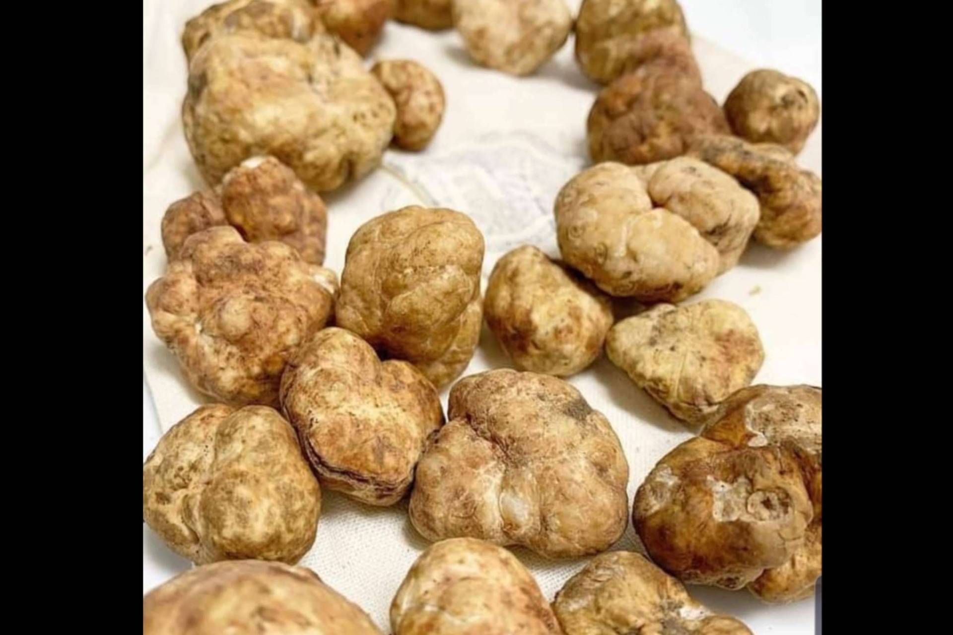Comprar trufa blanca en Mallorca para mejorar la experiencia culinaria