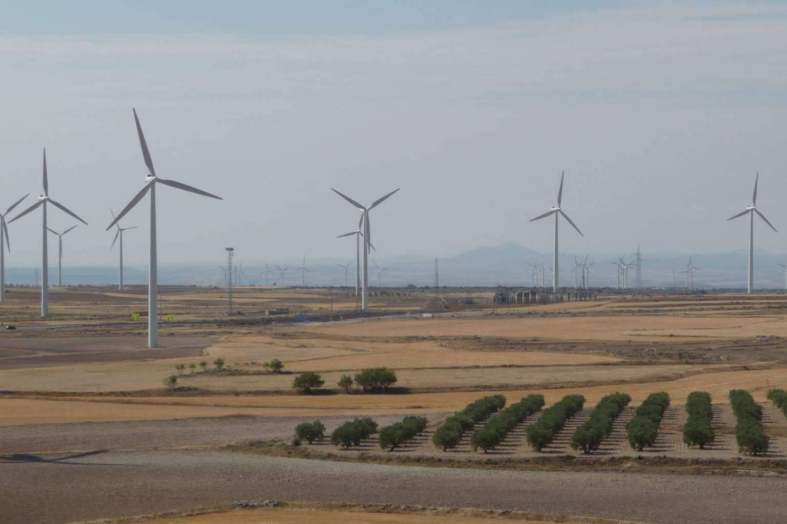 La importancia de la gestión integrada de activos en el sector de la energía renovable, por BayWa r.e.