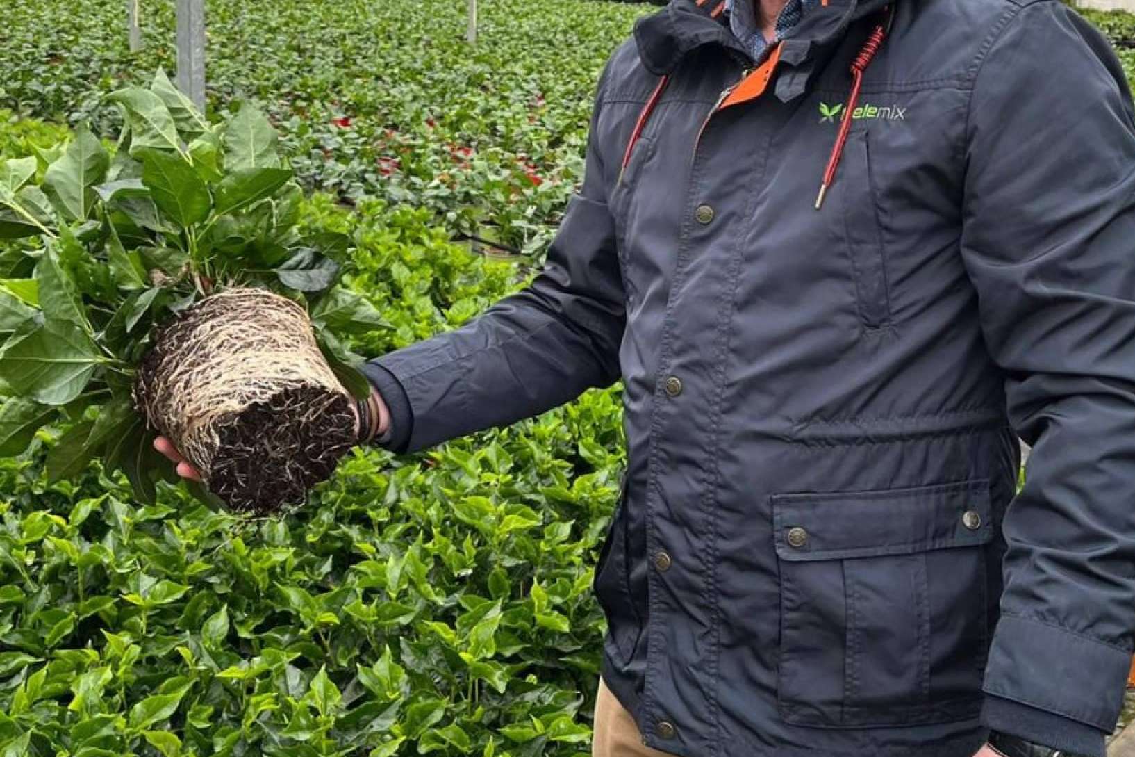 Pelemix y su gama para semilleros productivos en la temporada 2024