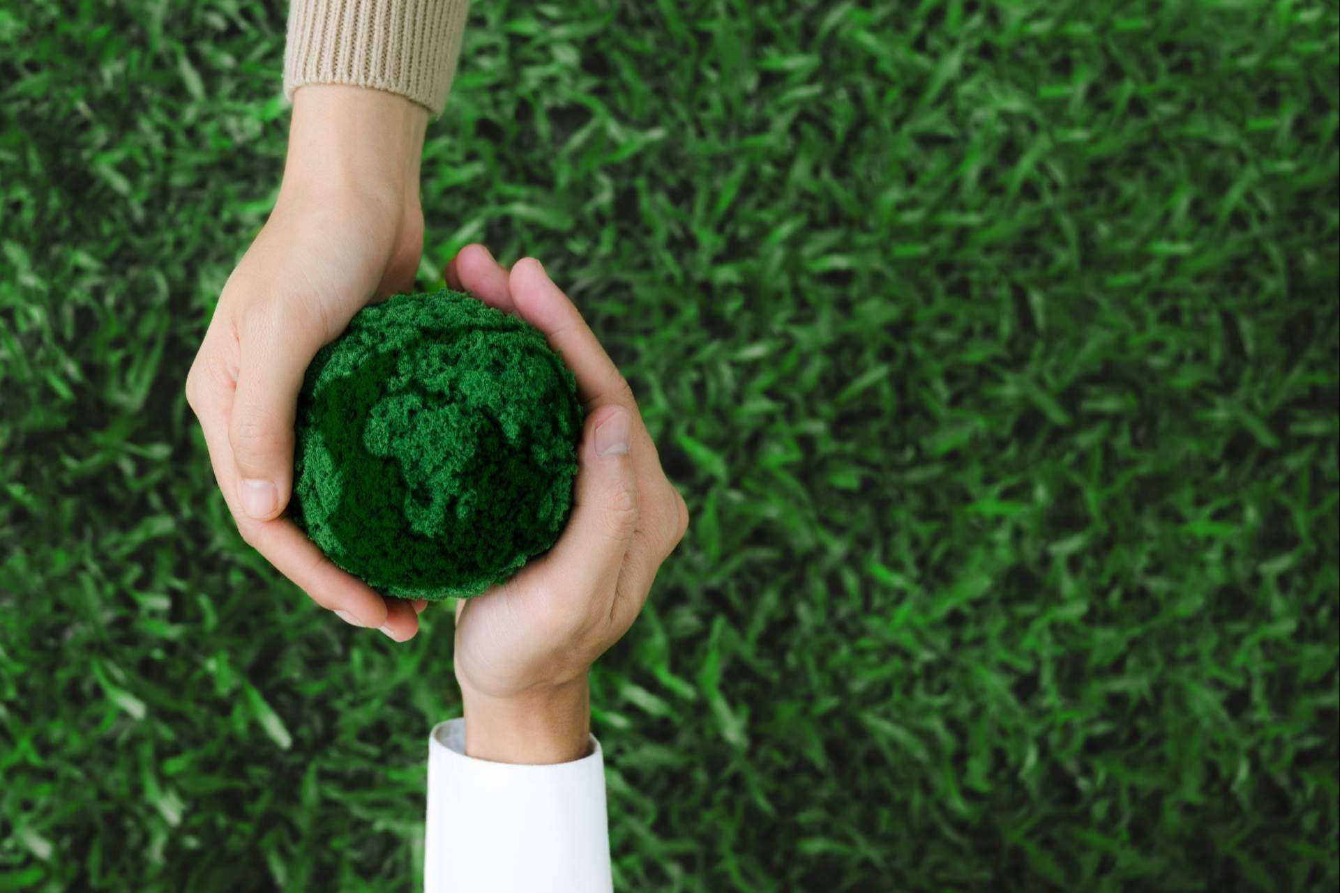 Rioma impulsa la sostenibilidad y el desarrollo local junto a la Fundación Somos Naturaleza
