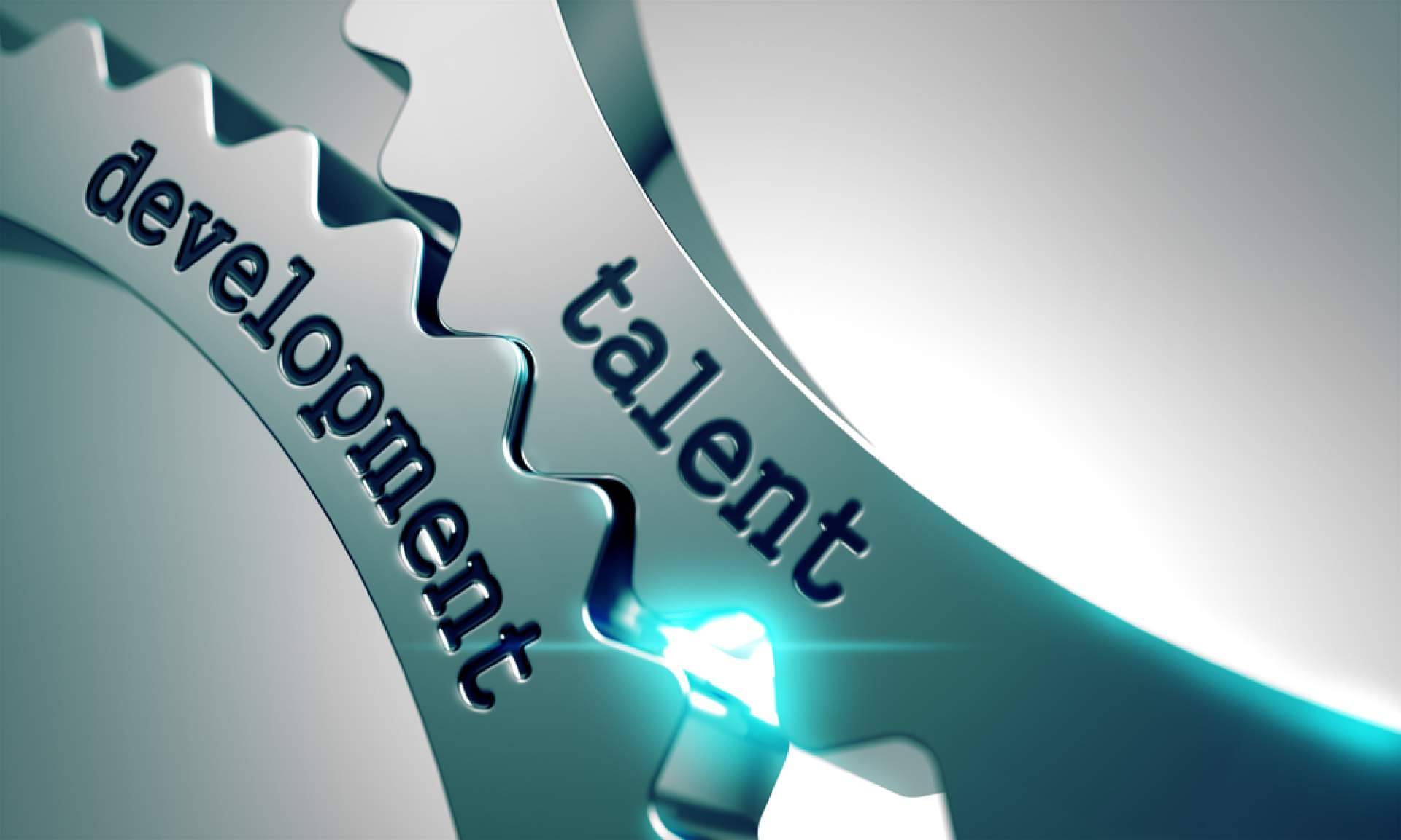 Coaching empresarial y desarrollo organizacional, la propuesta de Desarrolla