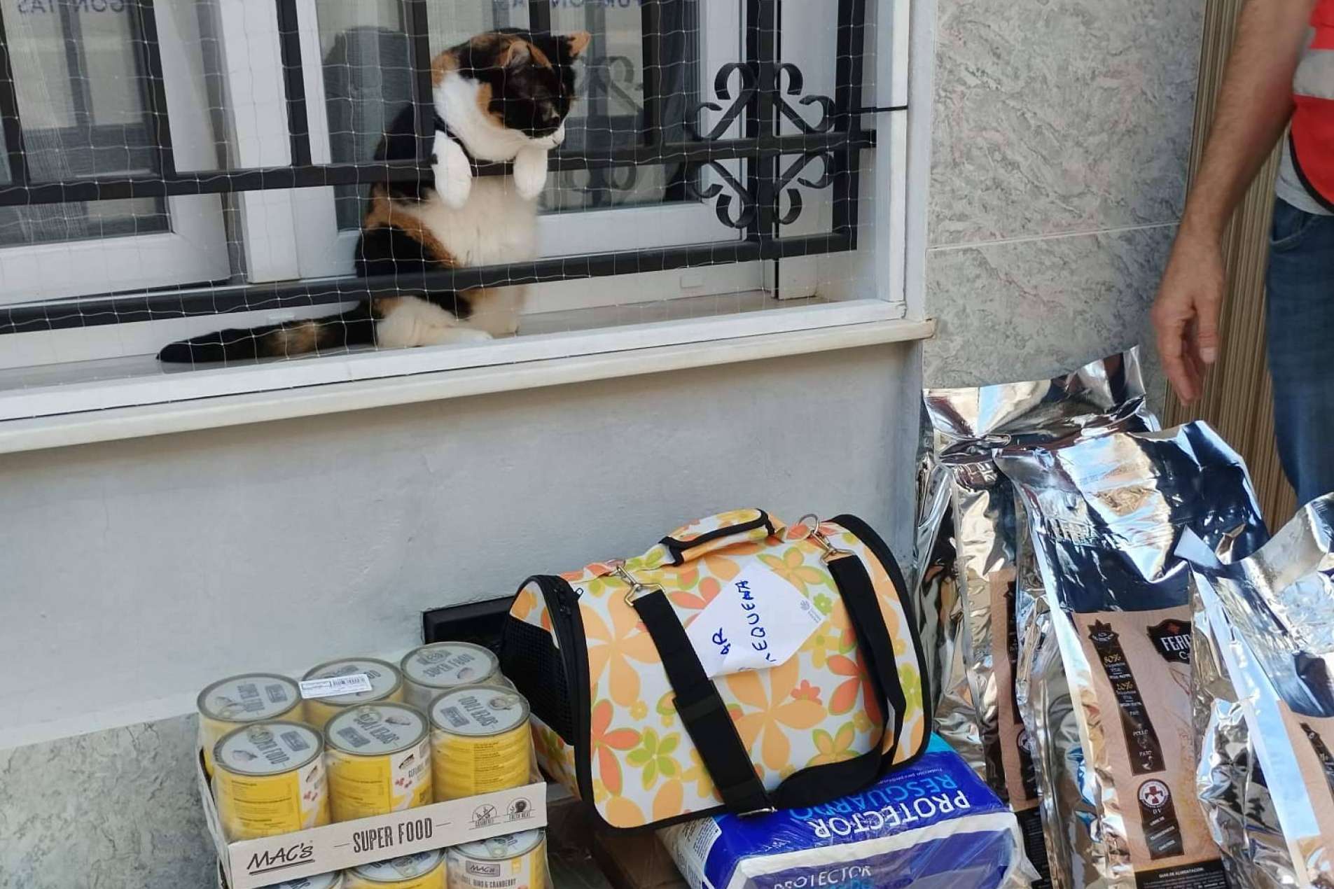 La iniciativa Solidaridad Feral lleva alimentos y materiales a refugios impactados por la DANA